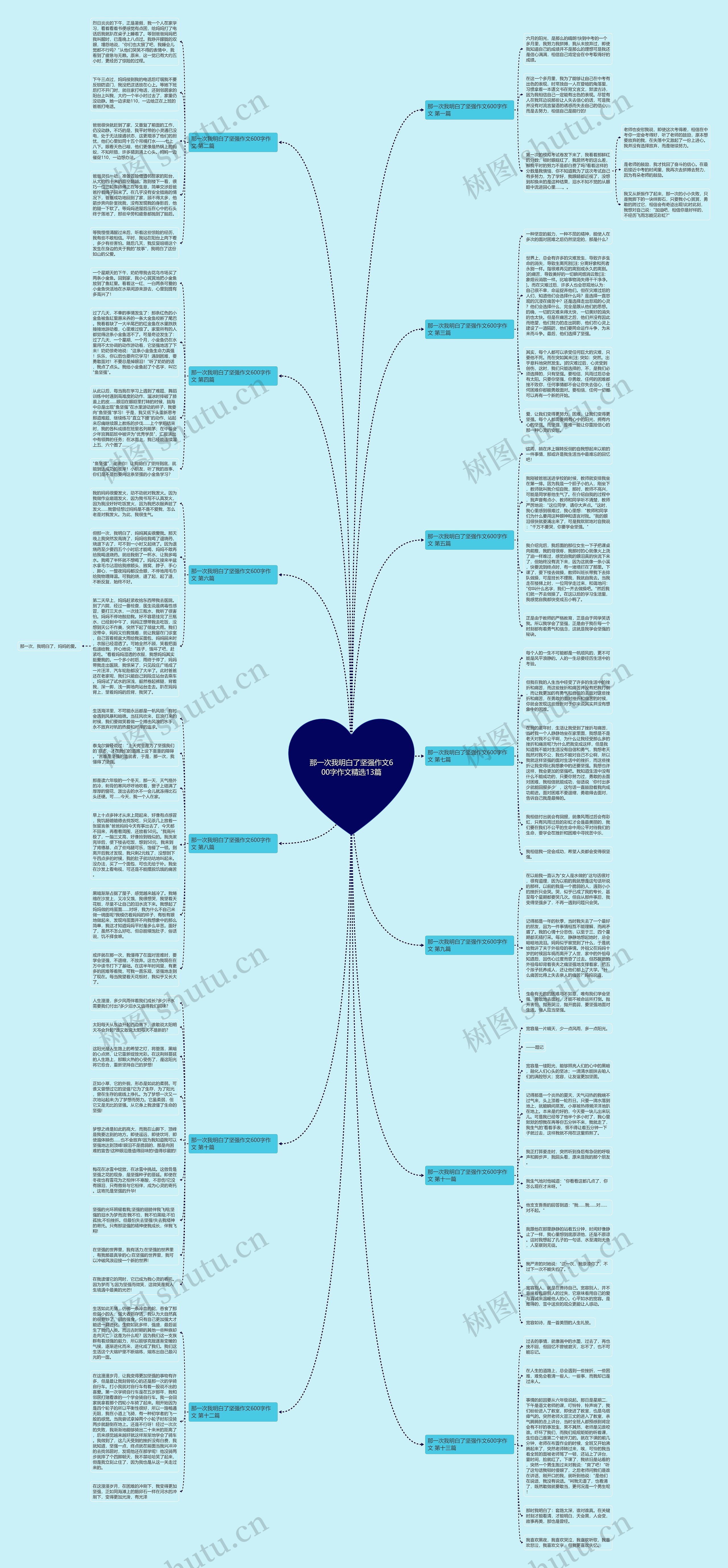 那一次我明白了坚强作文600字作文精选13篇思维导图