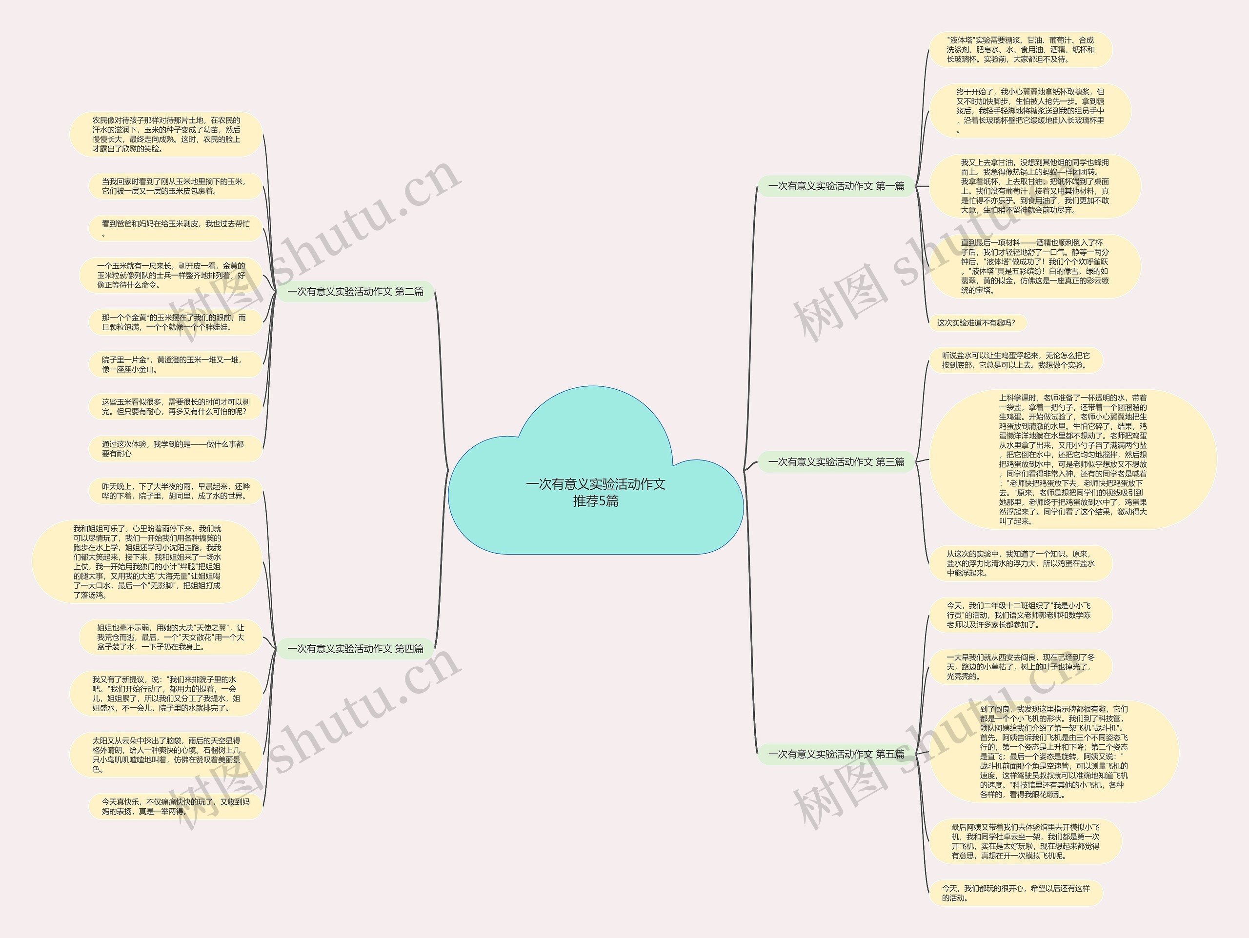 一次有意义实验活动作文推荐5篇思维导图