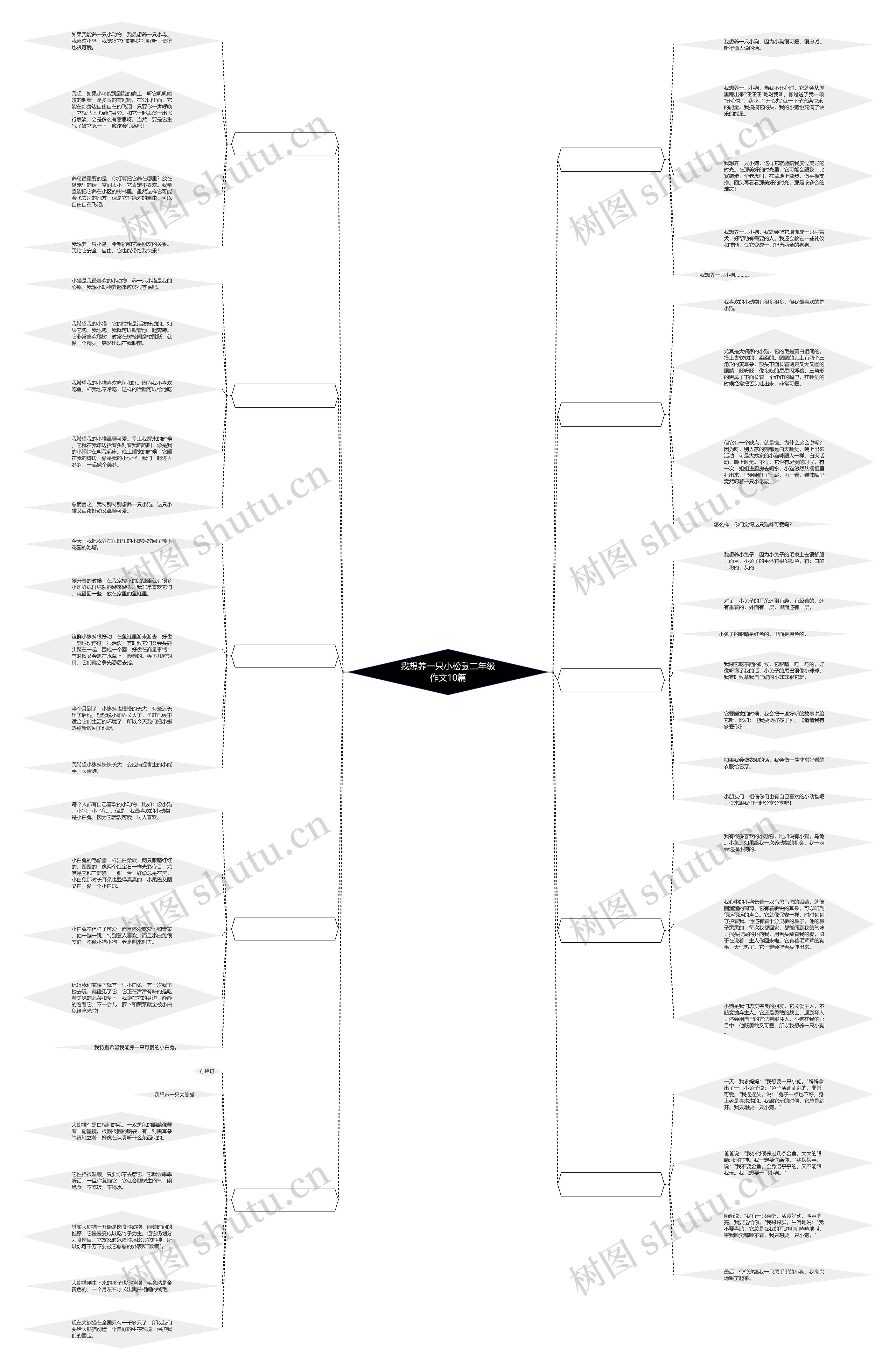 我想养一只小松鼠二年级作文10篇 我想养一只小松鼠二年级作文10篇