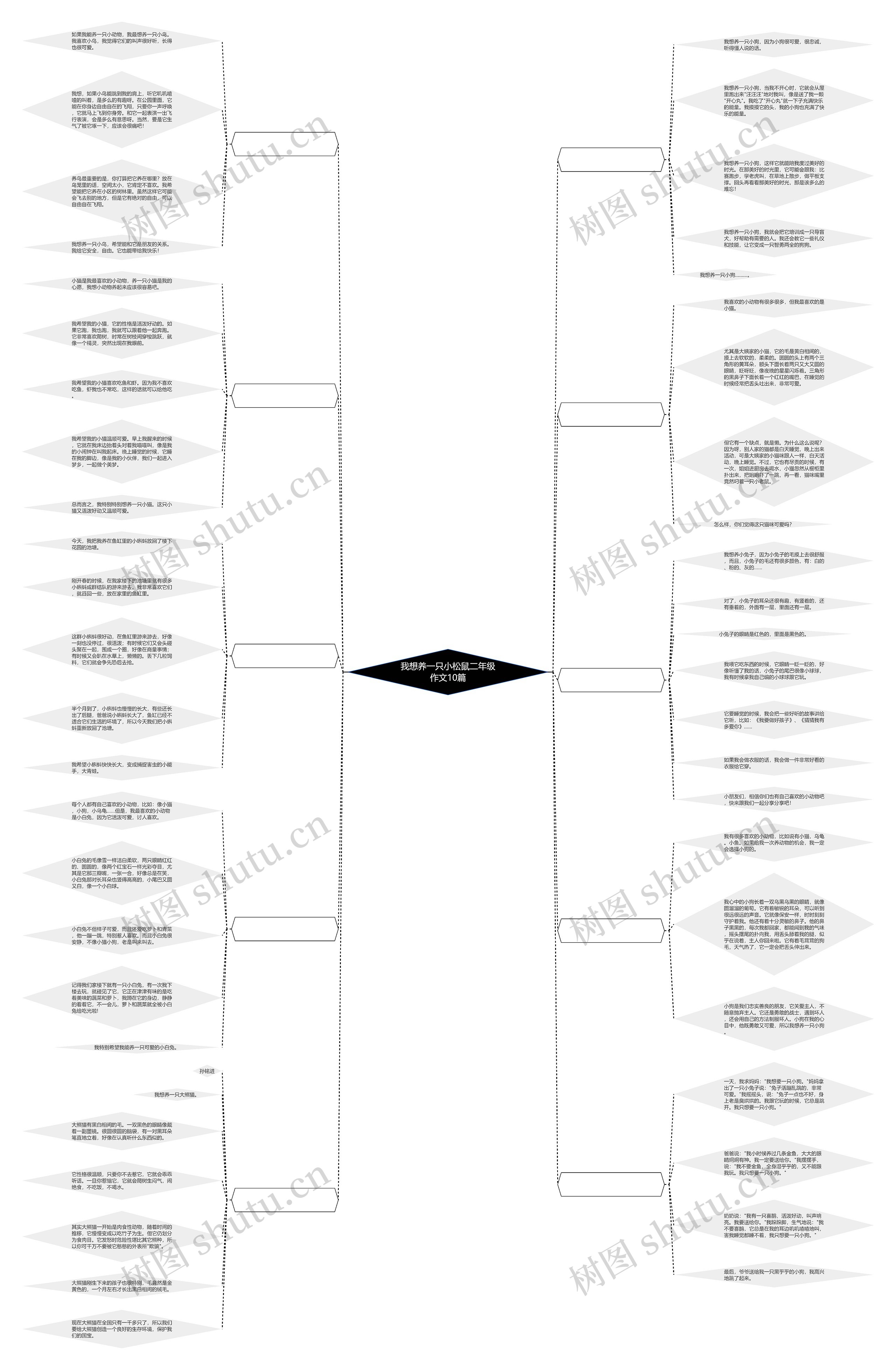 我想养一只小松鼠二年级作文10篇思维导图