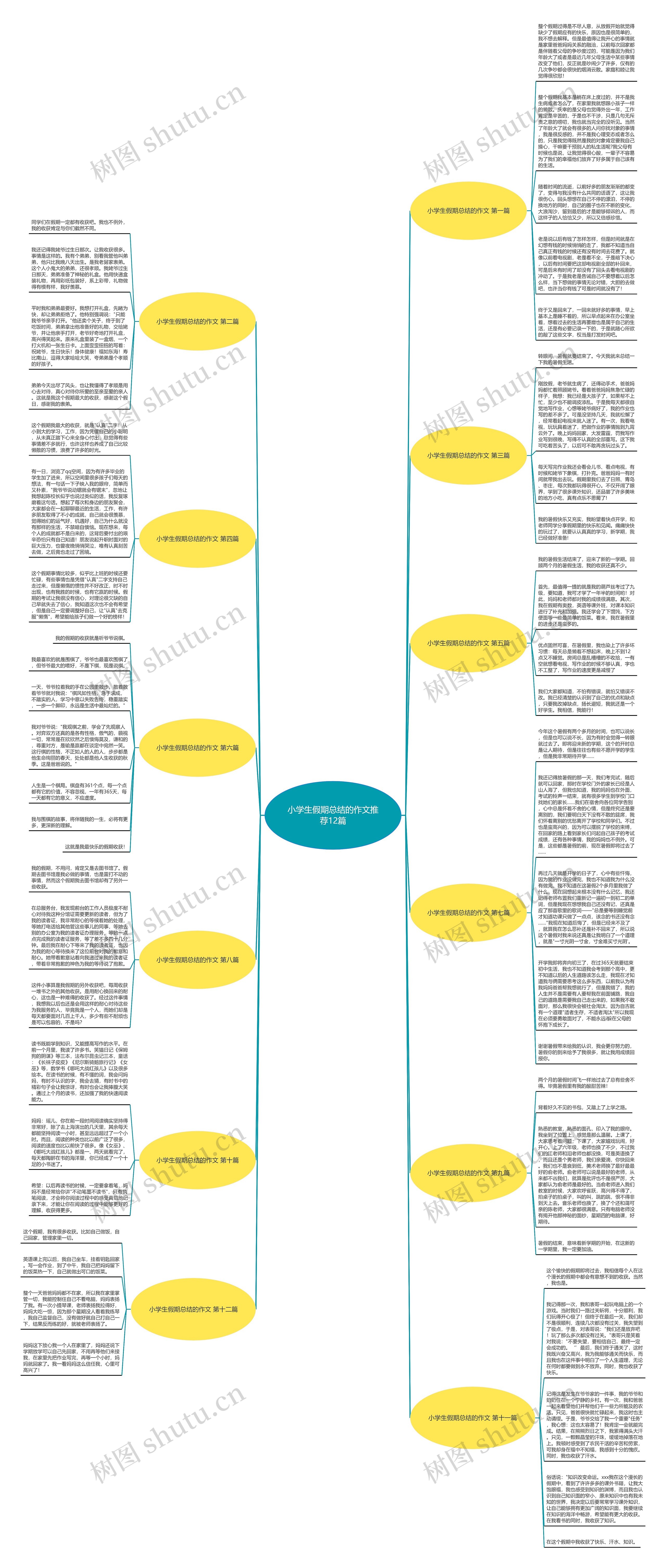 小学生假期总结的作文推荐12篇思维导图