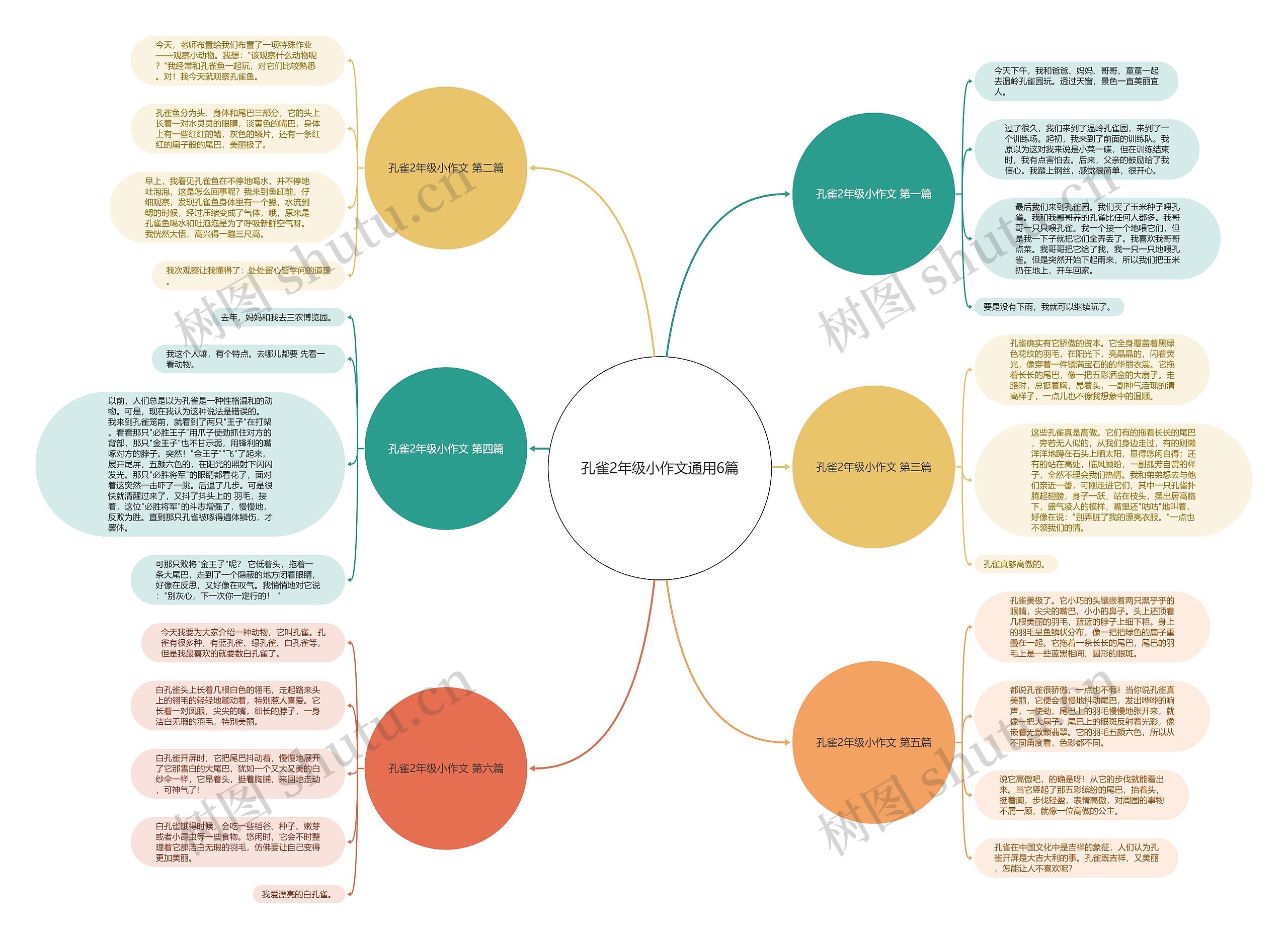 孔雀2年级小作文通用6篇思维导图