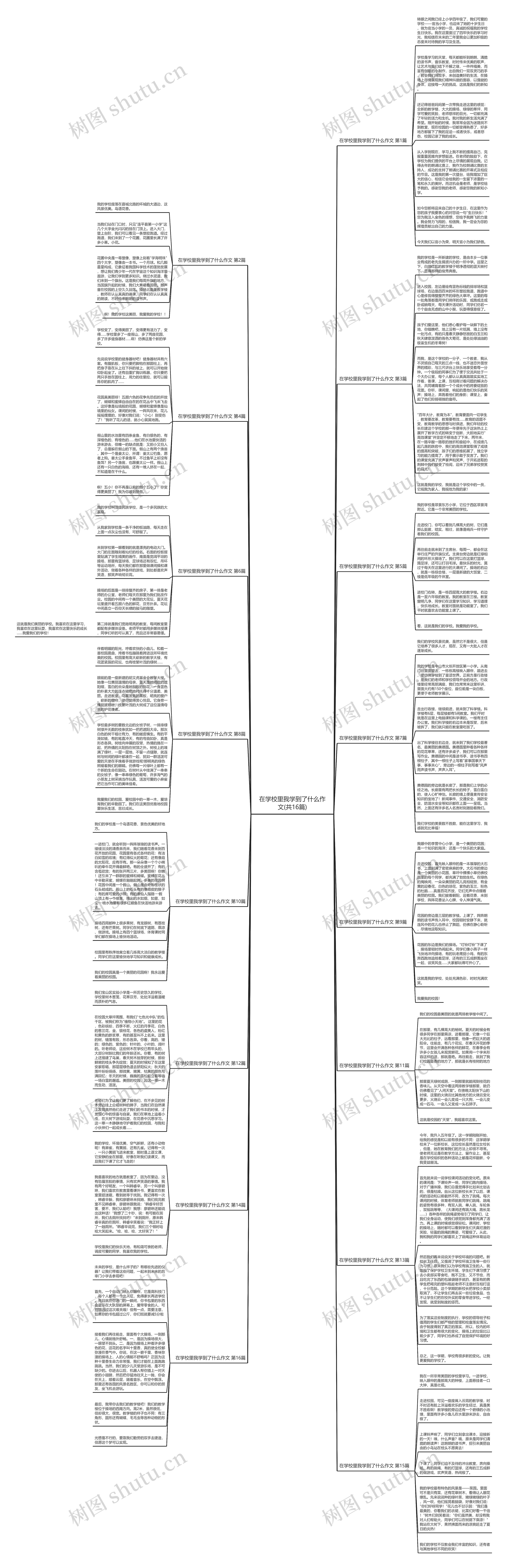 在学校里我学到了什么作文(共16篇)思维导图