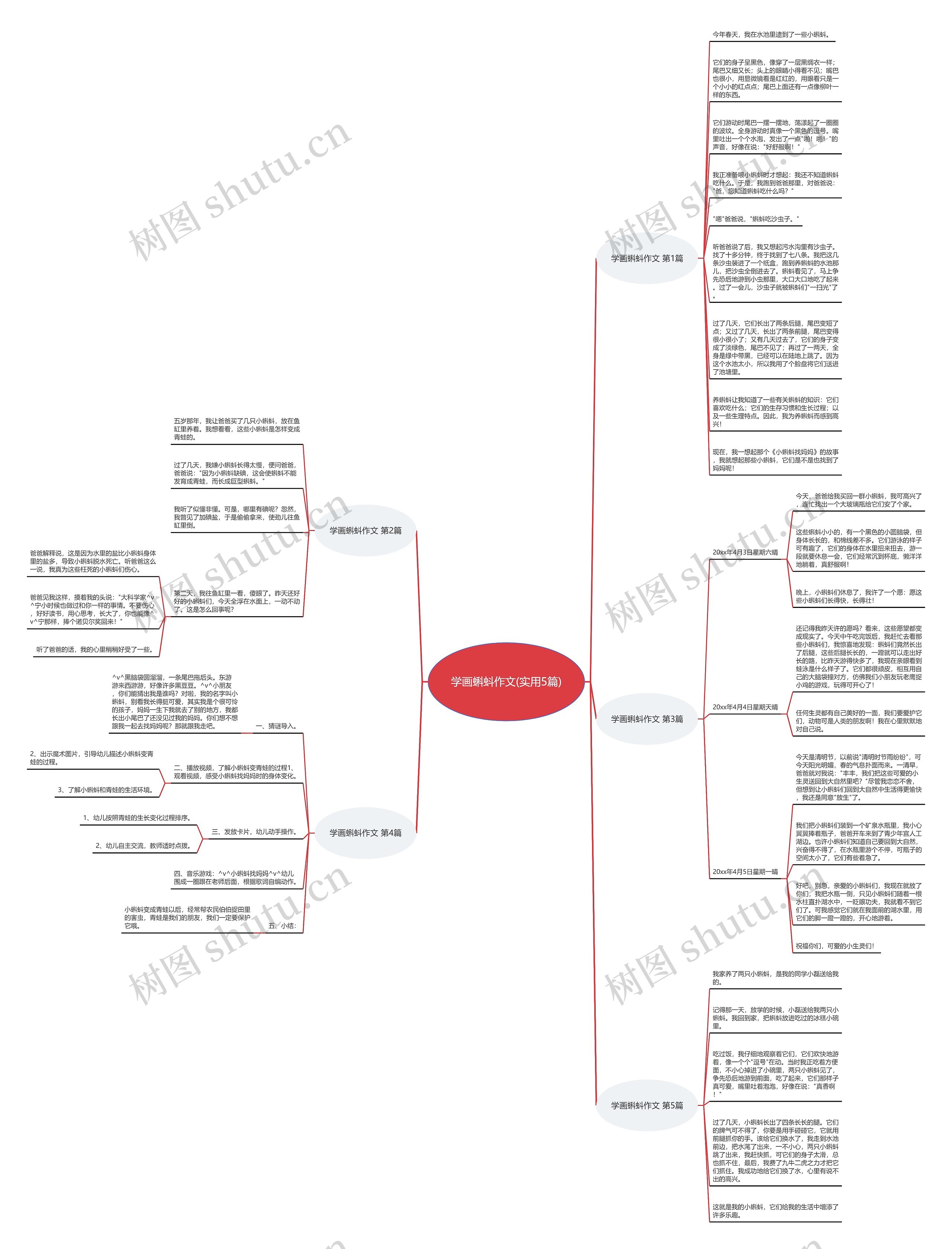 学画蝌蚪作文(实用5篇)思维导图