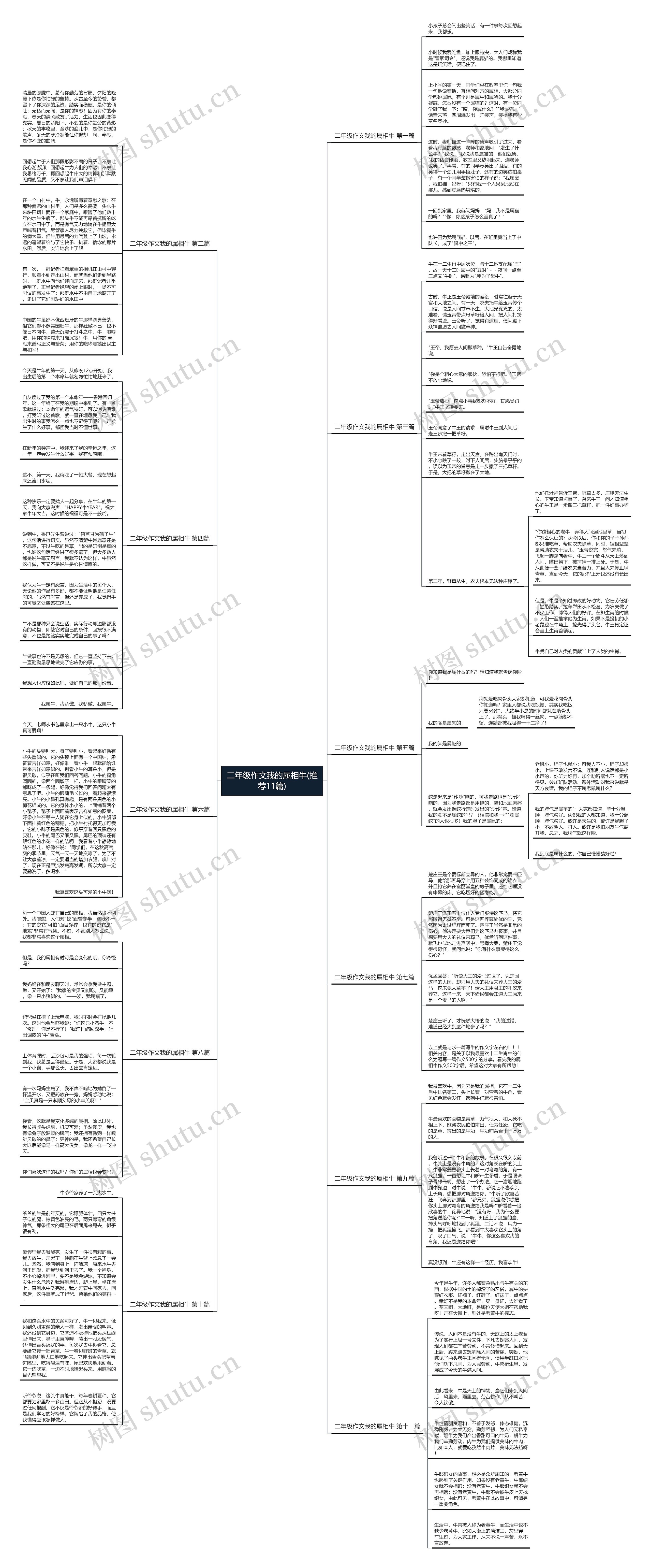 二年级作文我的属相牛(推荐11篇)