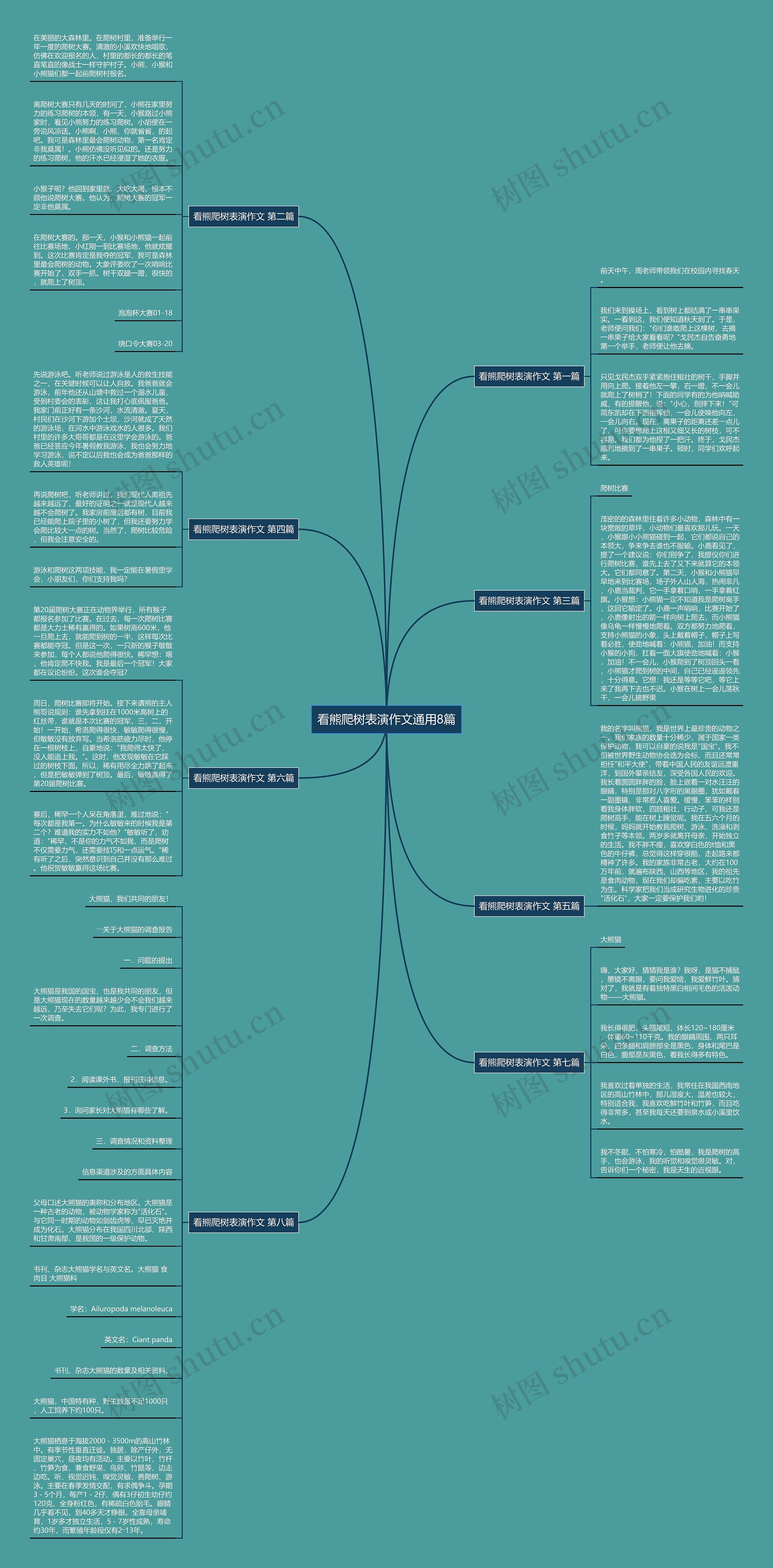 看熊爬树表演作文通用8篇思维导图