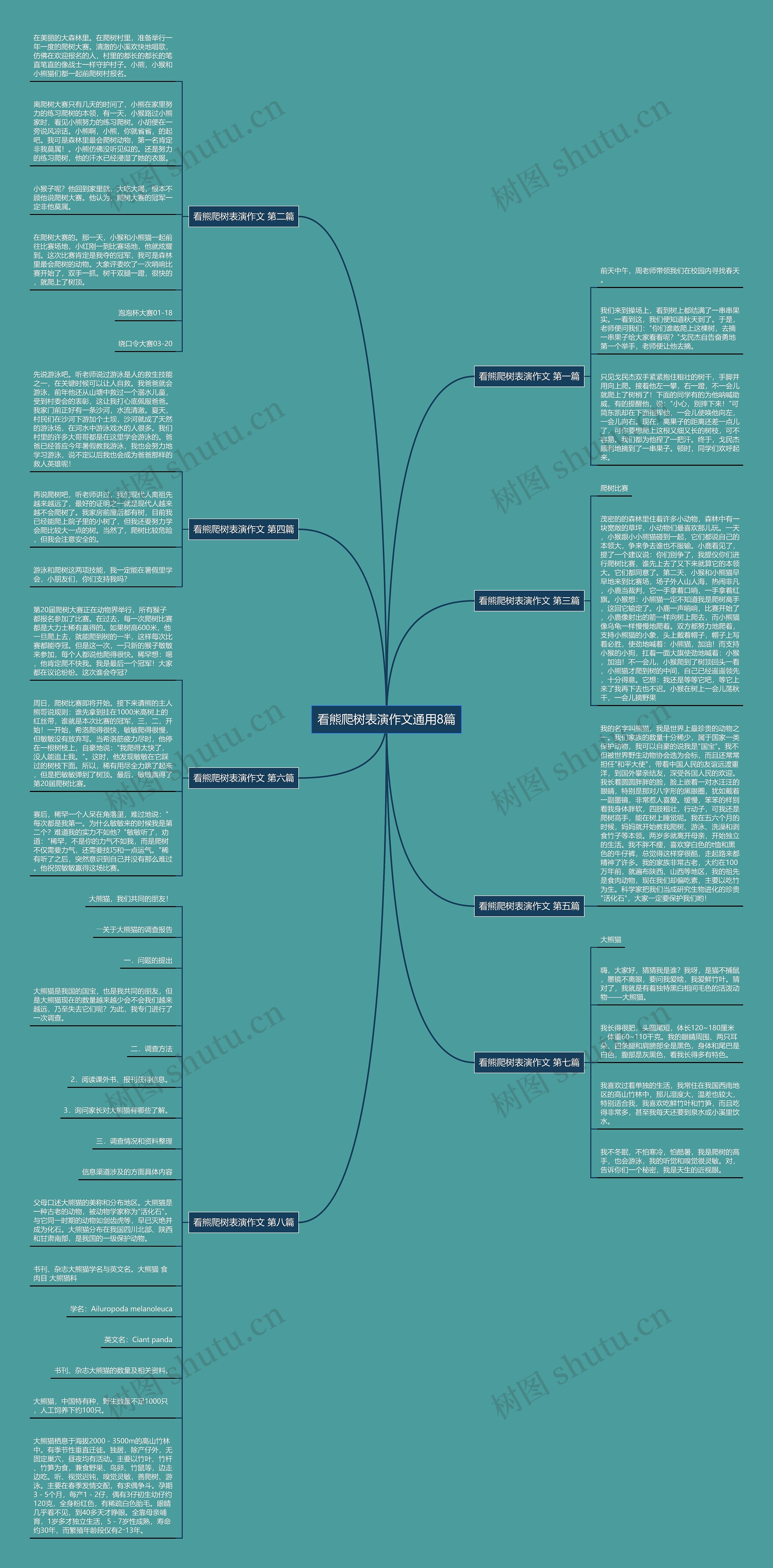 看熊爬树表演作文通用8篇 看熊爬树表演作文通用8篇