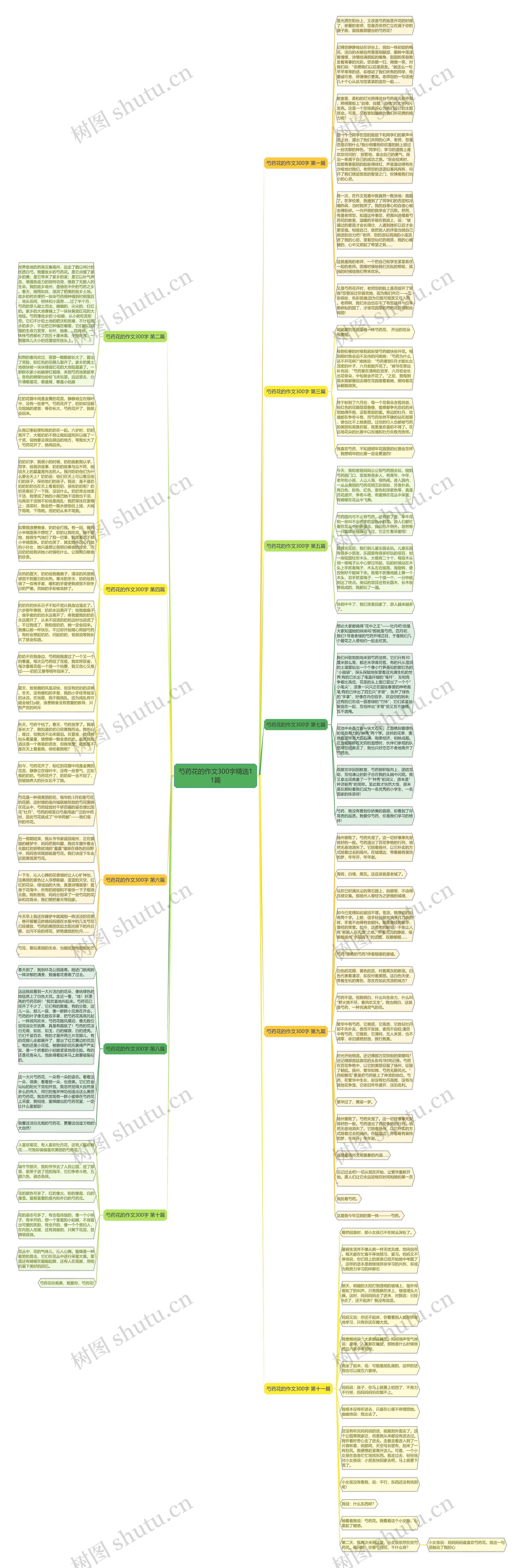芍药花的作文300字精选11篇思维导图