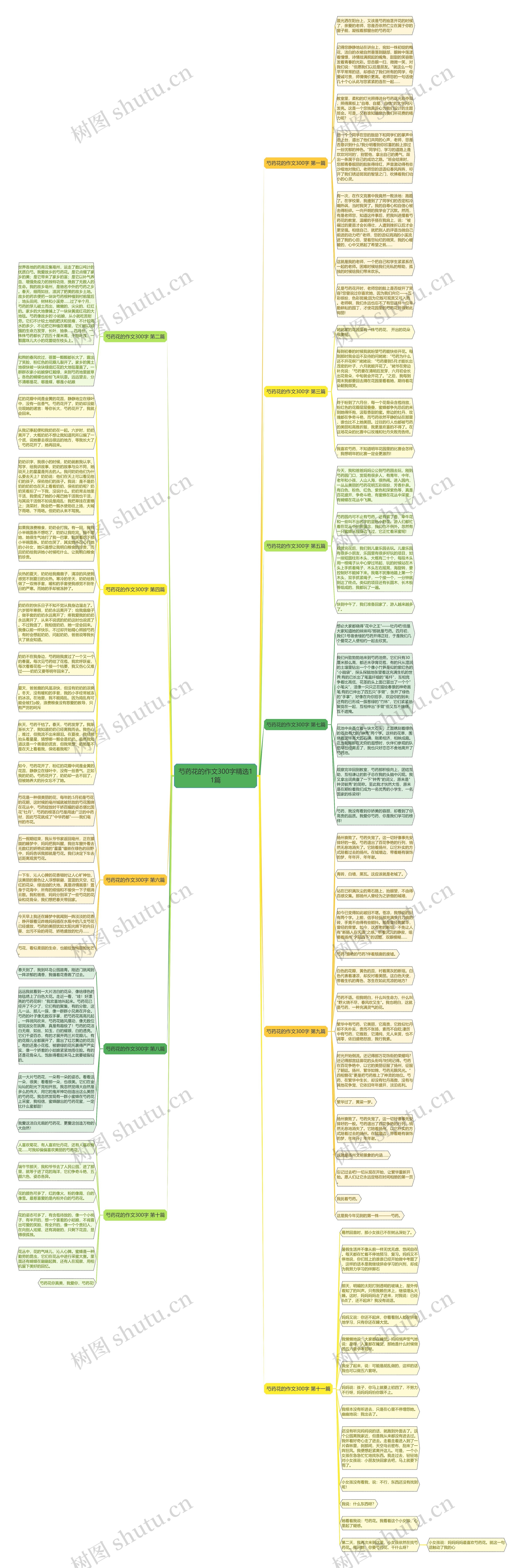 芍药花的作文300字精选11篇思维导图高清图 芍药花的作文300字精选11篇思维导图