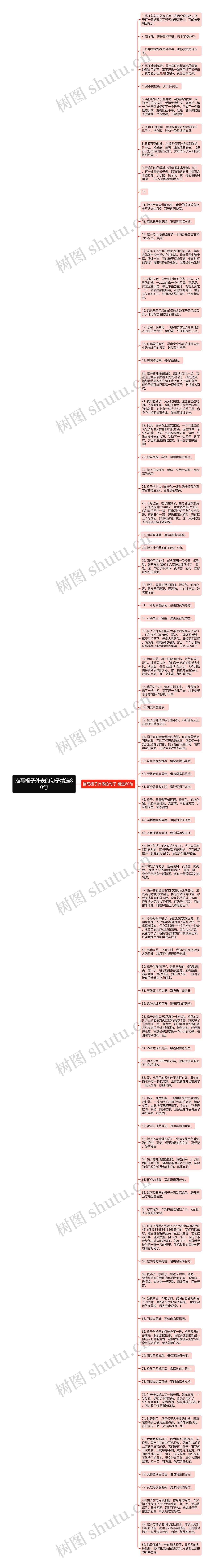 描写橙子外表的句子精选80句思维导图