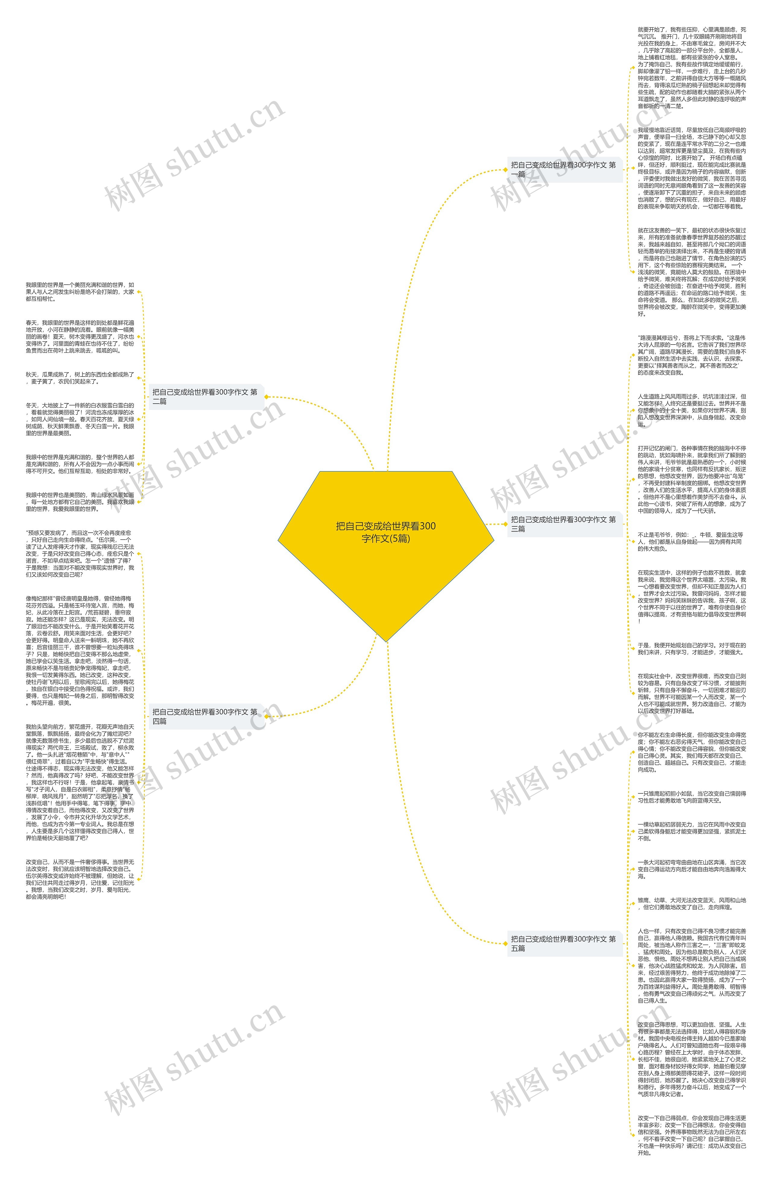 把自己变成给世界看300字作文(5篇)思维导图