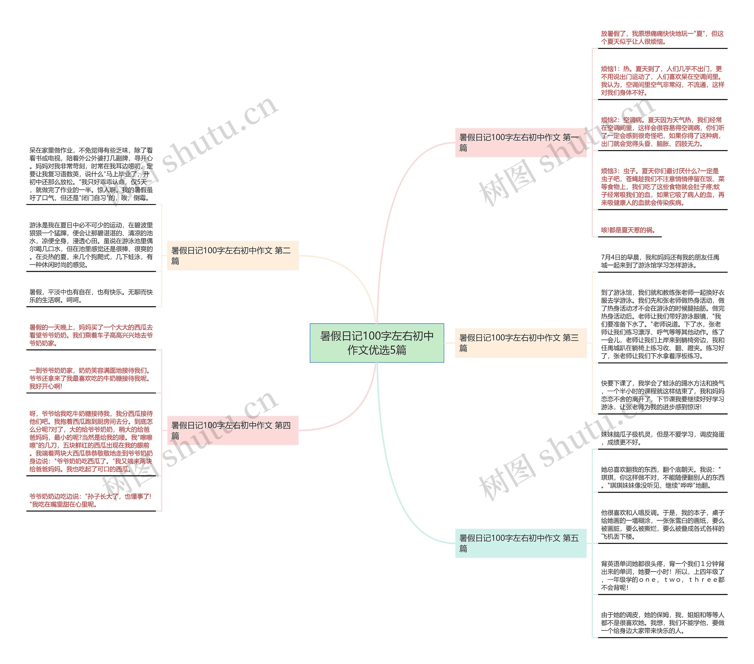 暑假日记100字左右初中作文优选5篇思维导图
