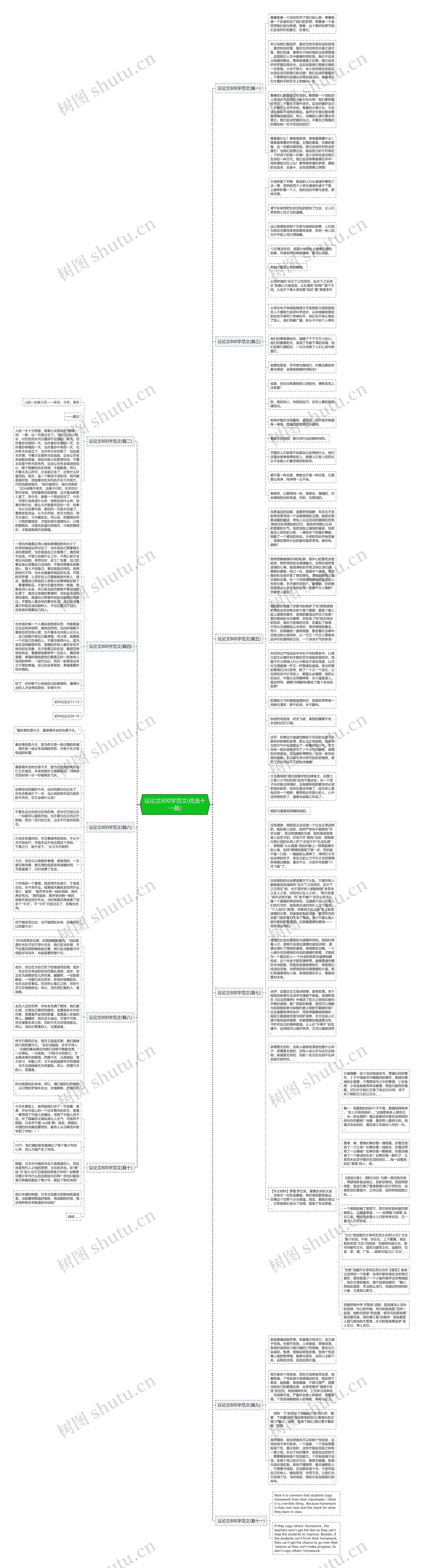 议论文800字范文(优选十一篇)思维导图