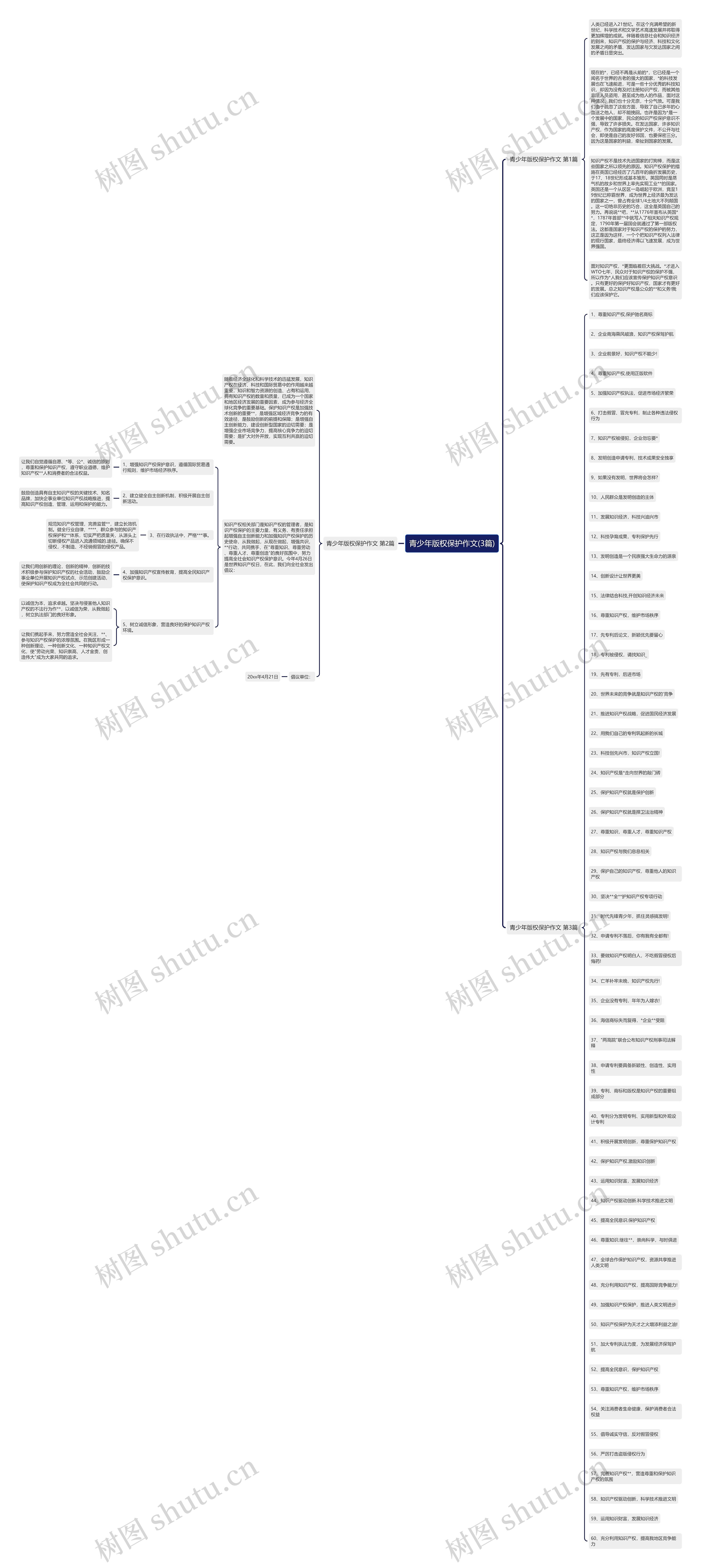 青少年版权保护作文(3篇)思维导图
