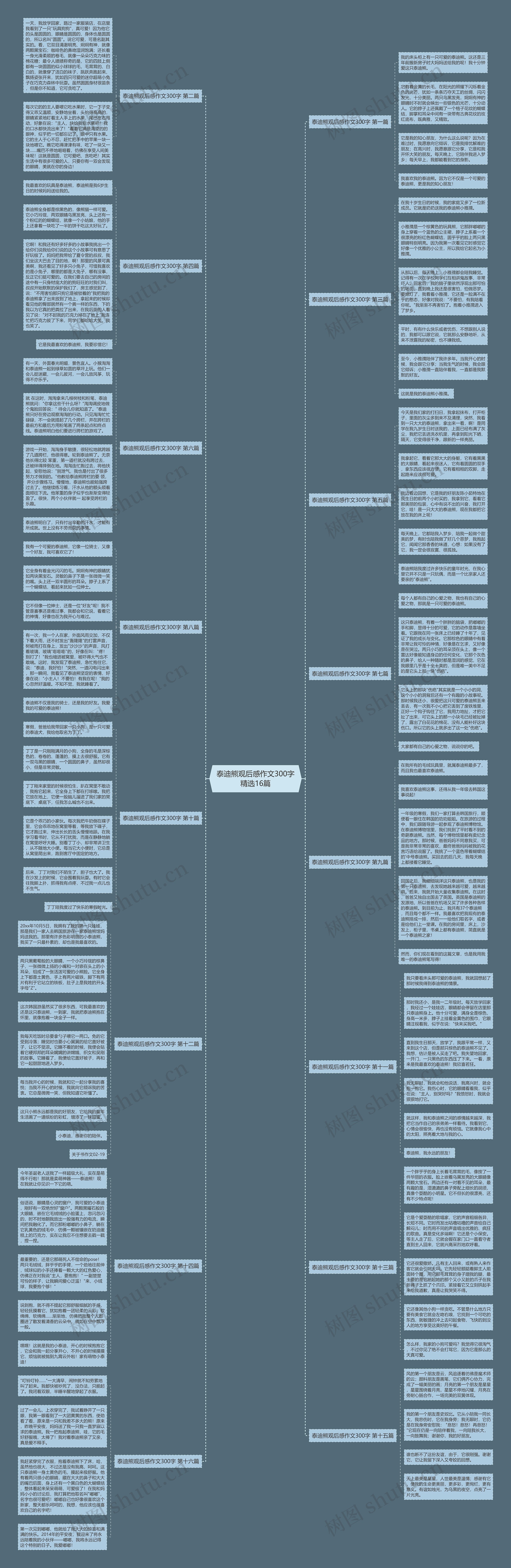 泰迪熊观后感作文300字精选16篇 泰迪熊观后感作文300字精选16篇
