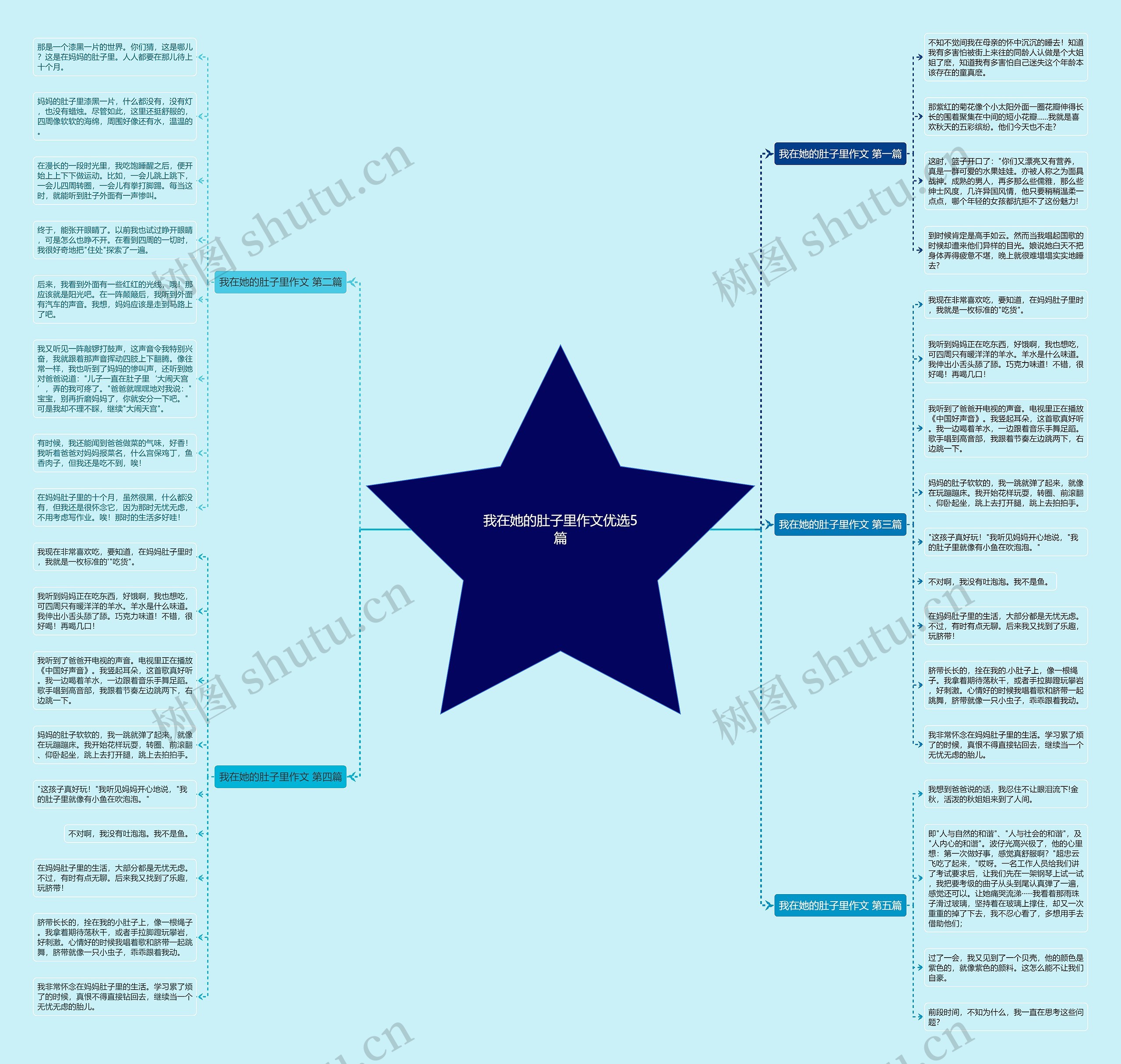 我在她的肚子里作文优选5篇思维导图