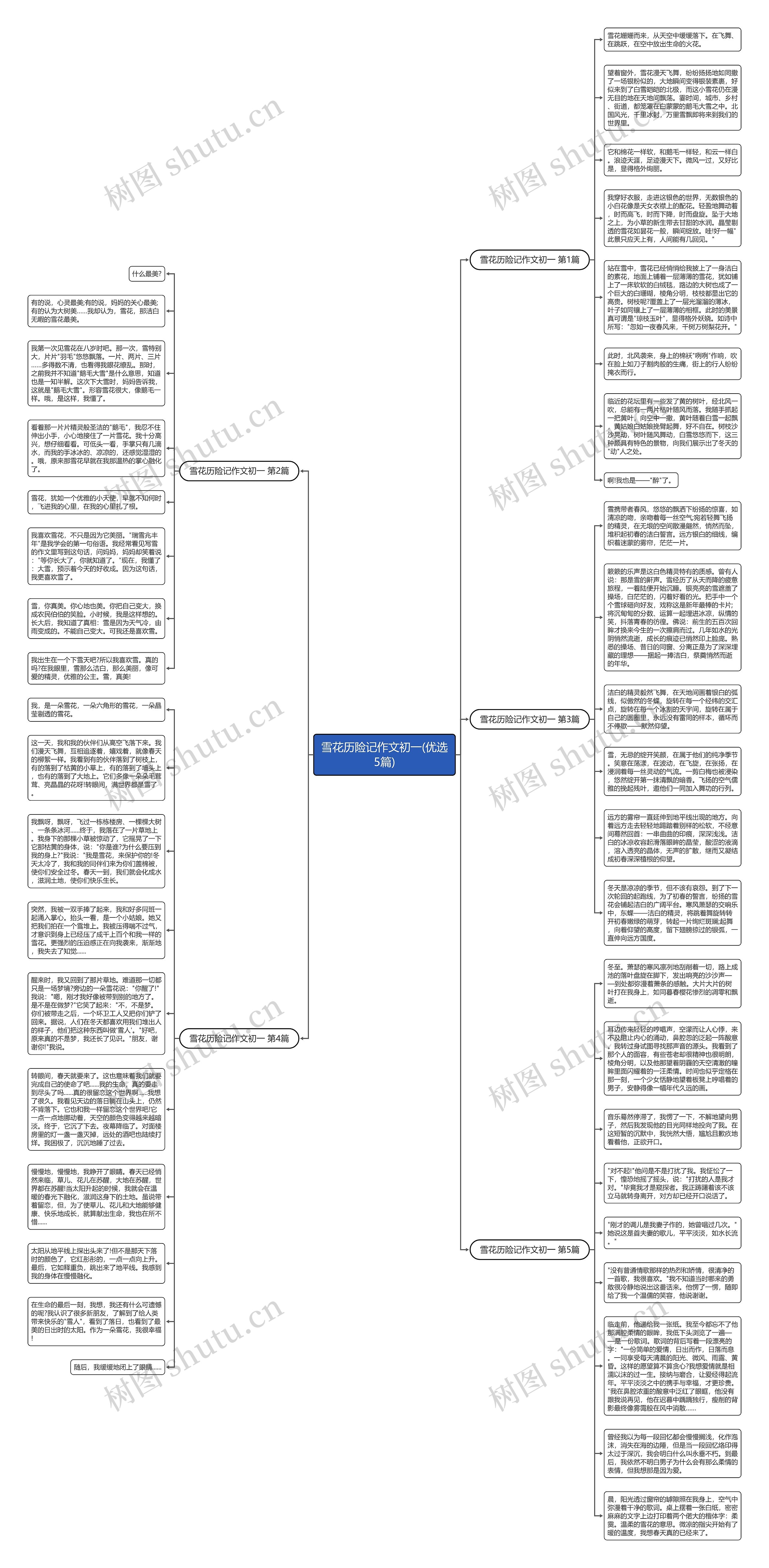 雪花历险记作文初一(优选5篇)思维导图