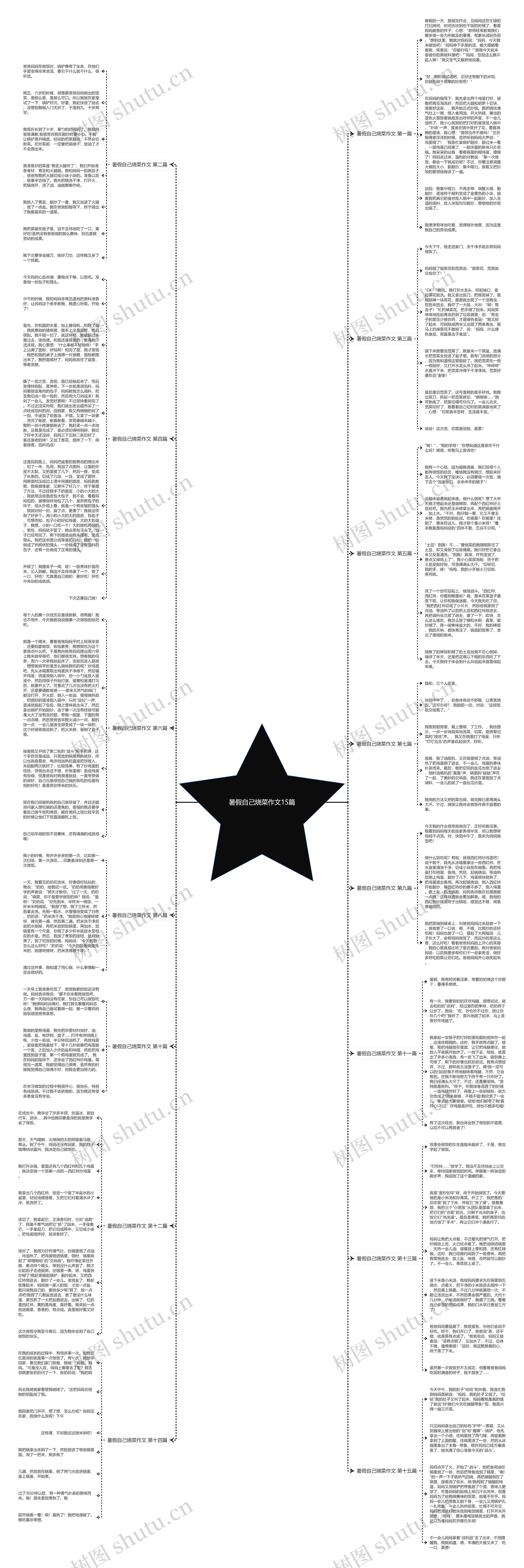 暑假自己烧菜作文15篇思维导图