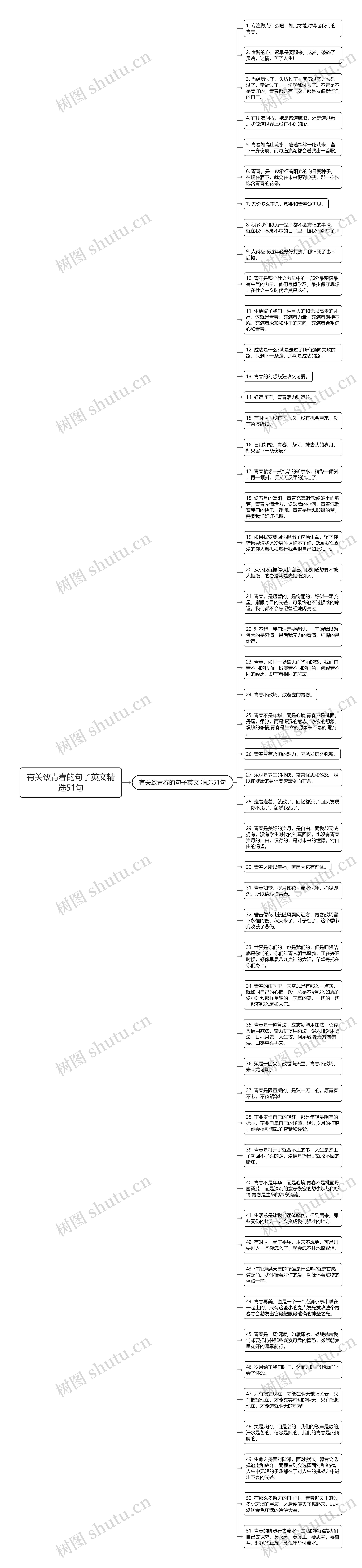有关致青春的句子英文精选51句思维导图高清图 有关致青春的句子英文精选51句思维导图