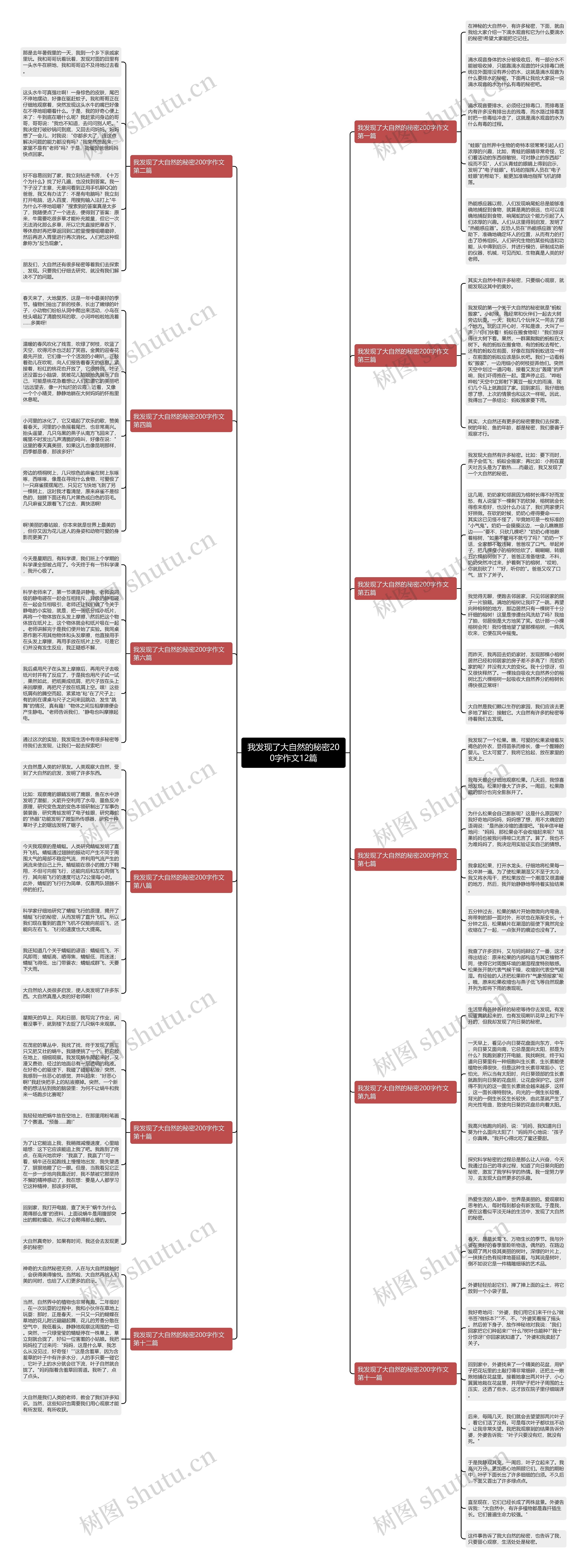 我发现了大自然的秘密200字作文12篇思维导图