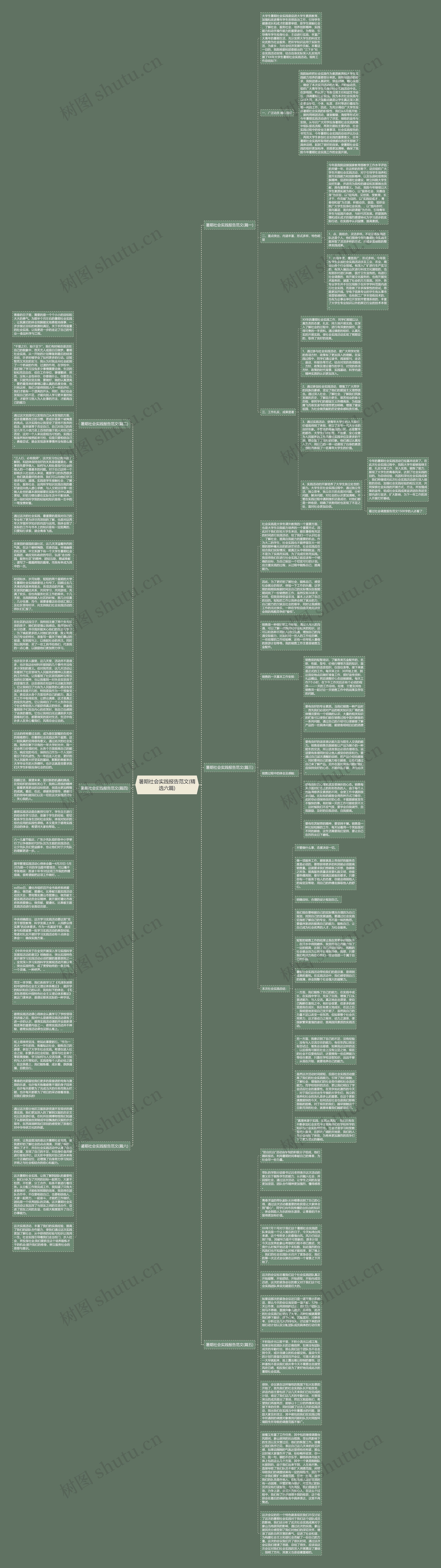 暑期社会实践报告范文(精选六篇)思维导图