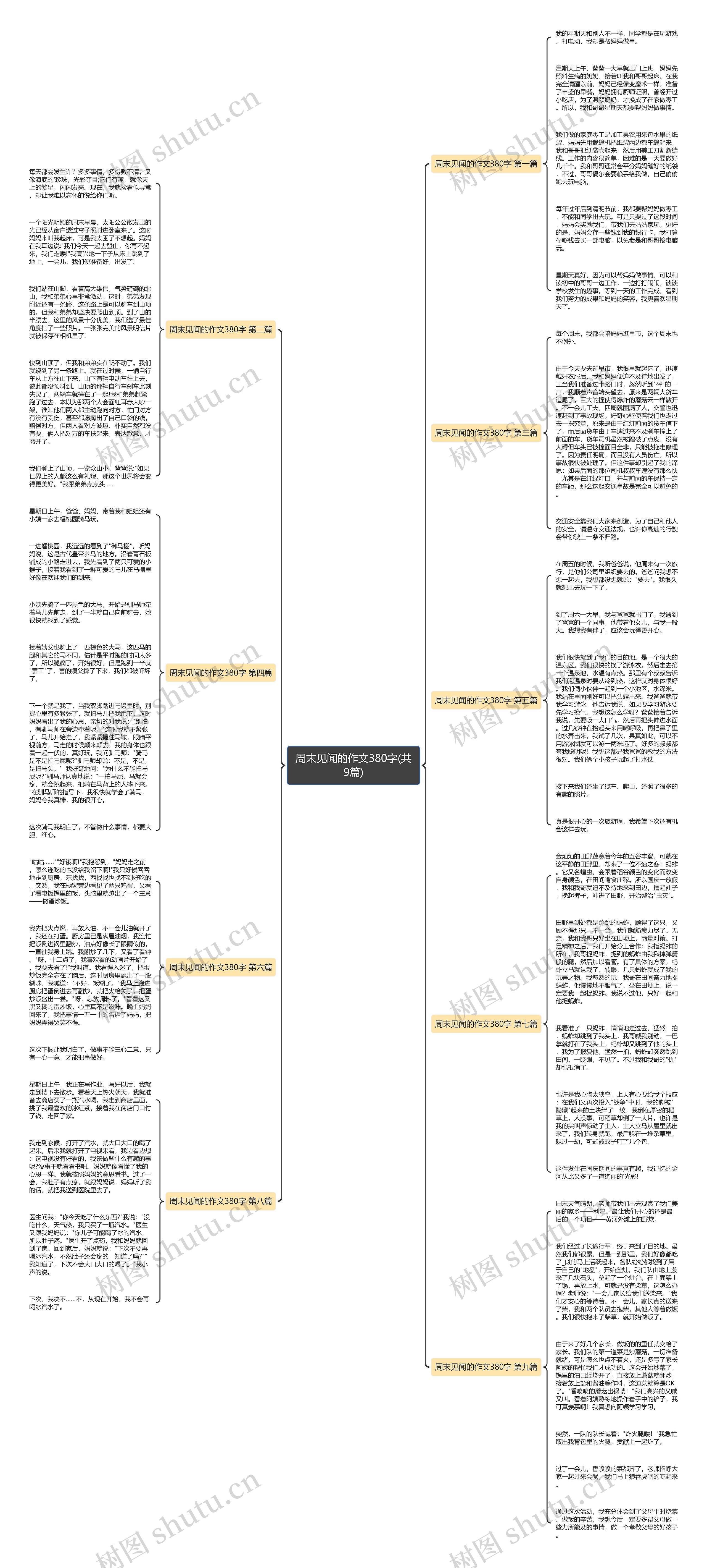 周末见闻的作文380字(共9篇)思维导图