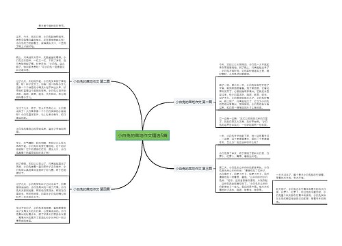 小白兔的菜地作文精选5篇 小白兔的菜地作文精选5篇