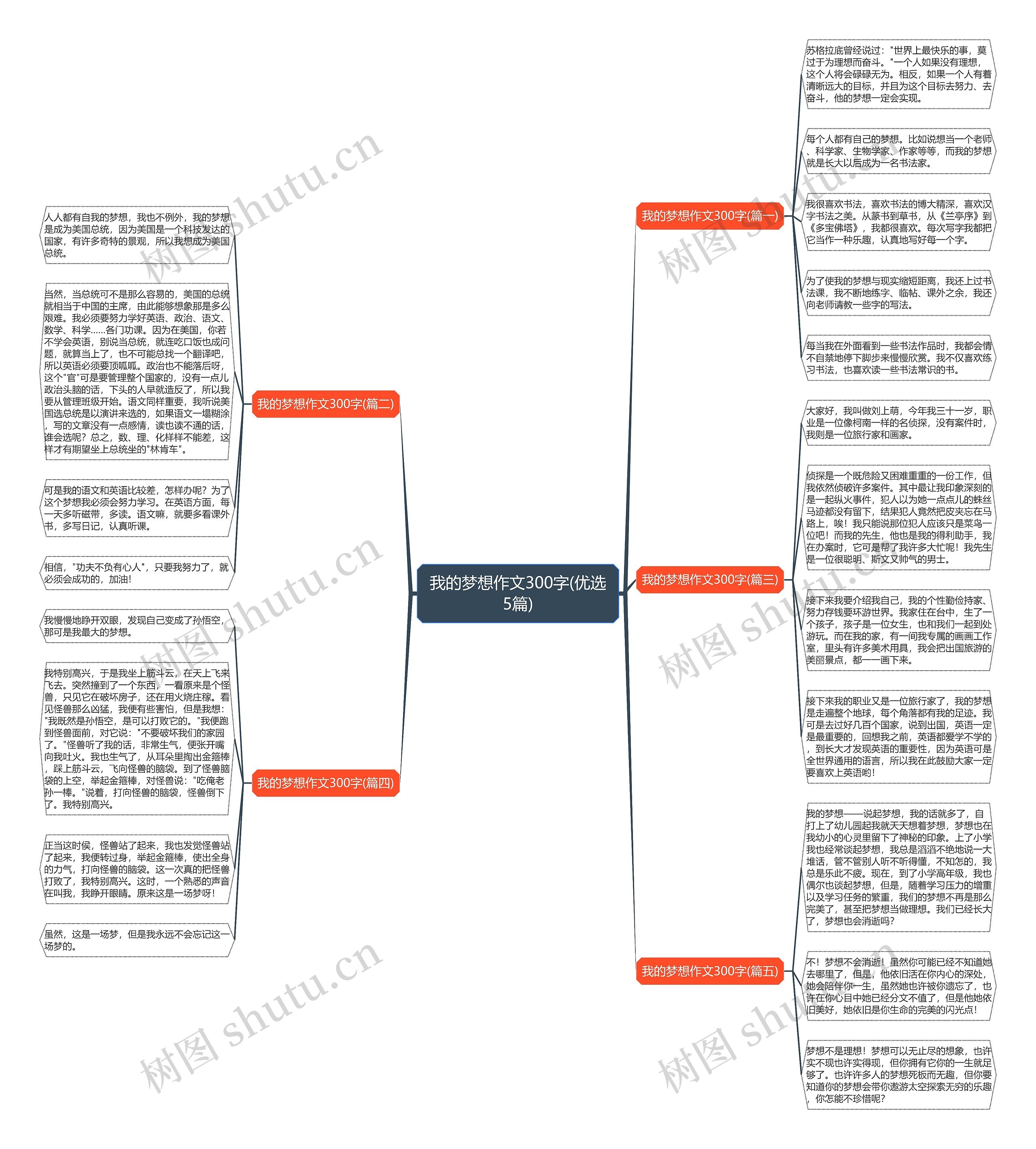 我的梦想作文300字(优选5篇)思维导图