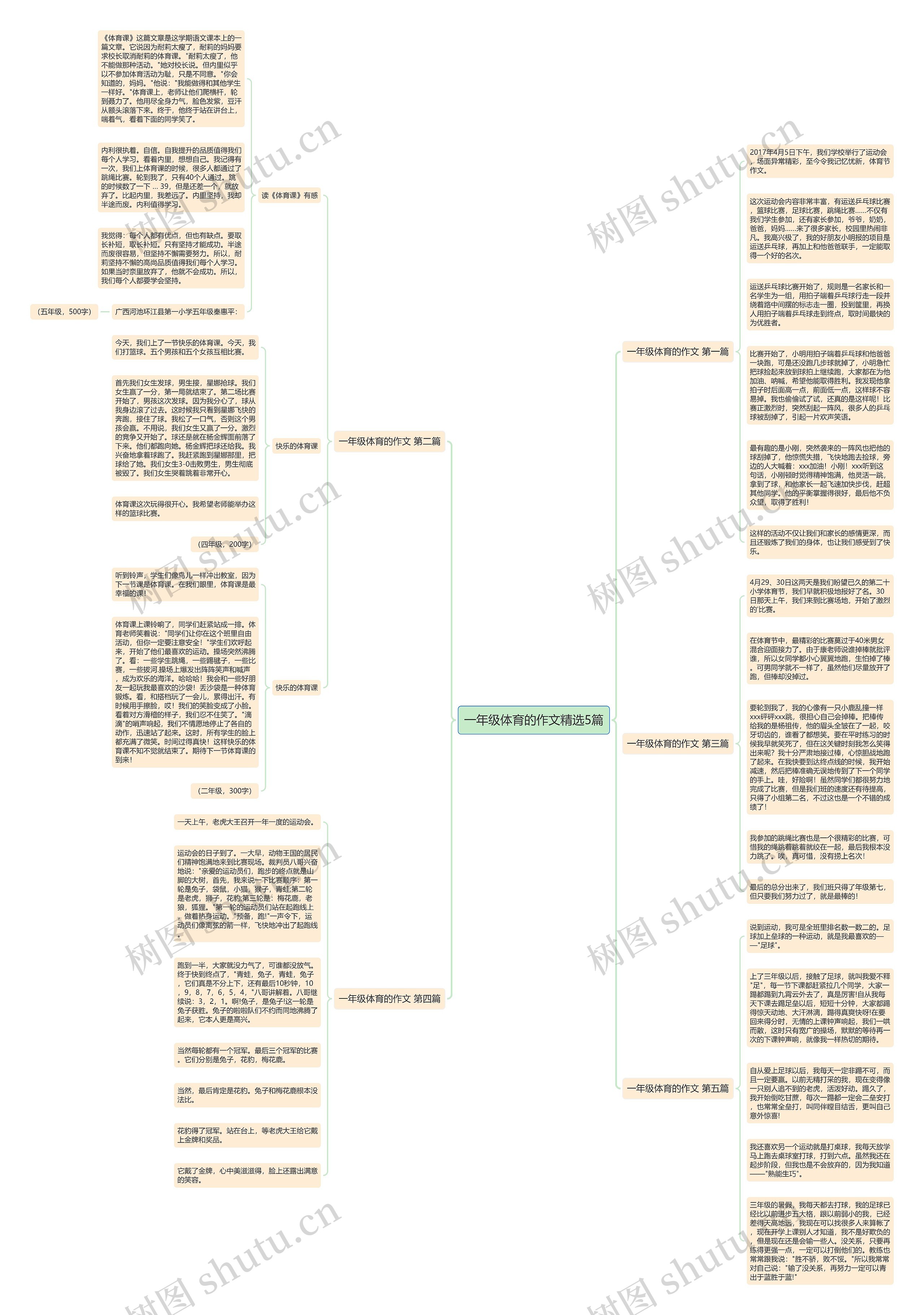 一年级体育的作文精选5篇思维导图