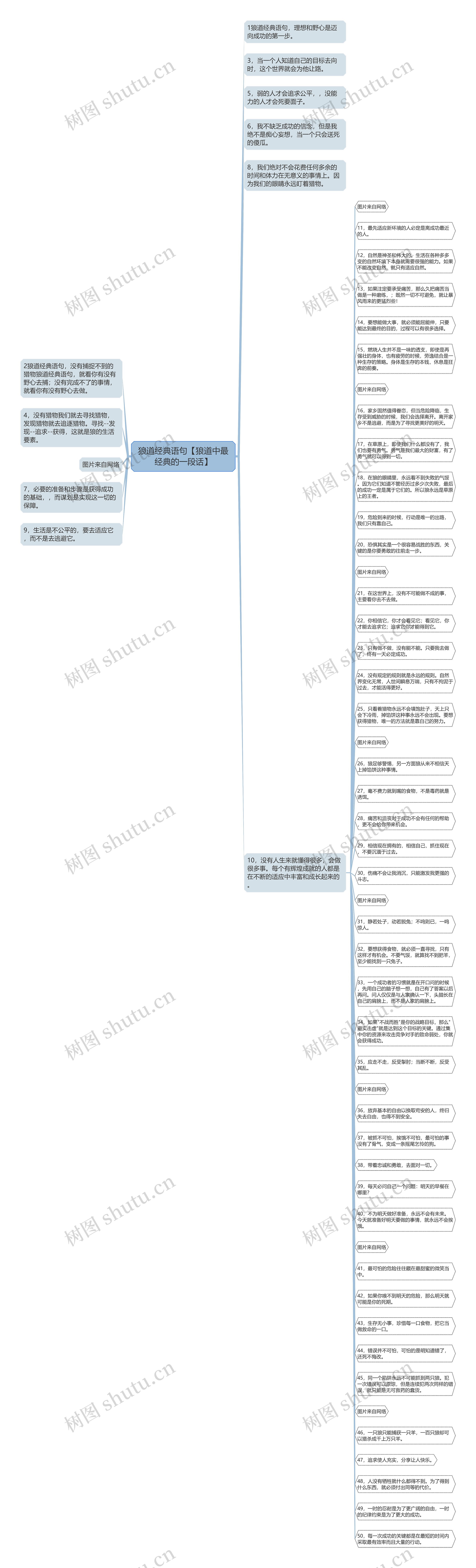 狼道经典语句【狼道中最经典的一段话】思维导图