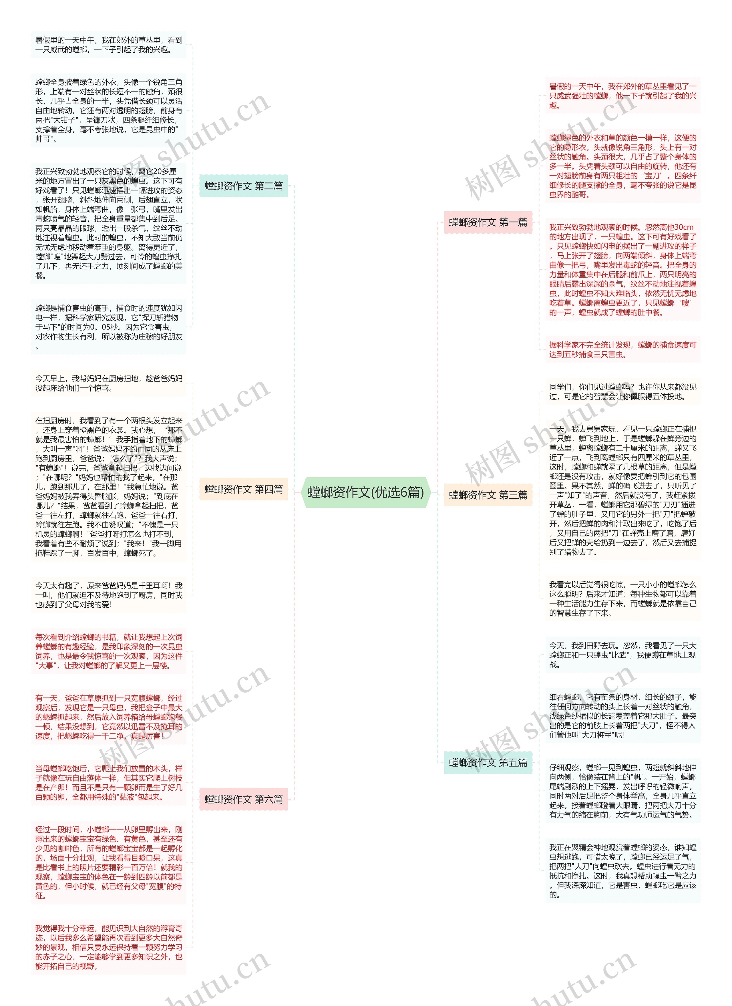 螳螂资作文(优选6篇)思维导图