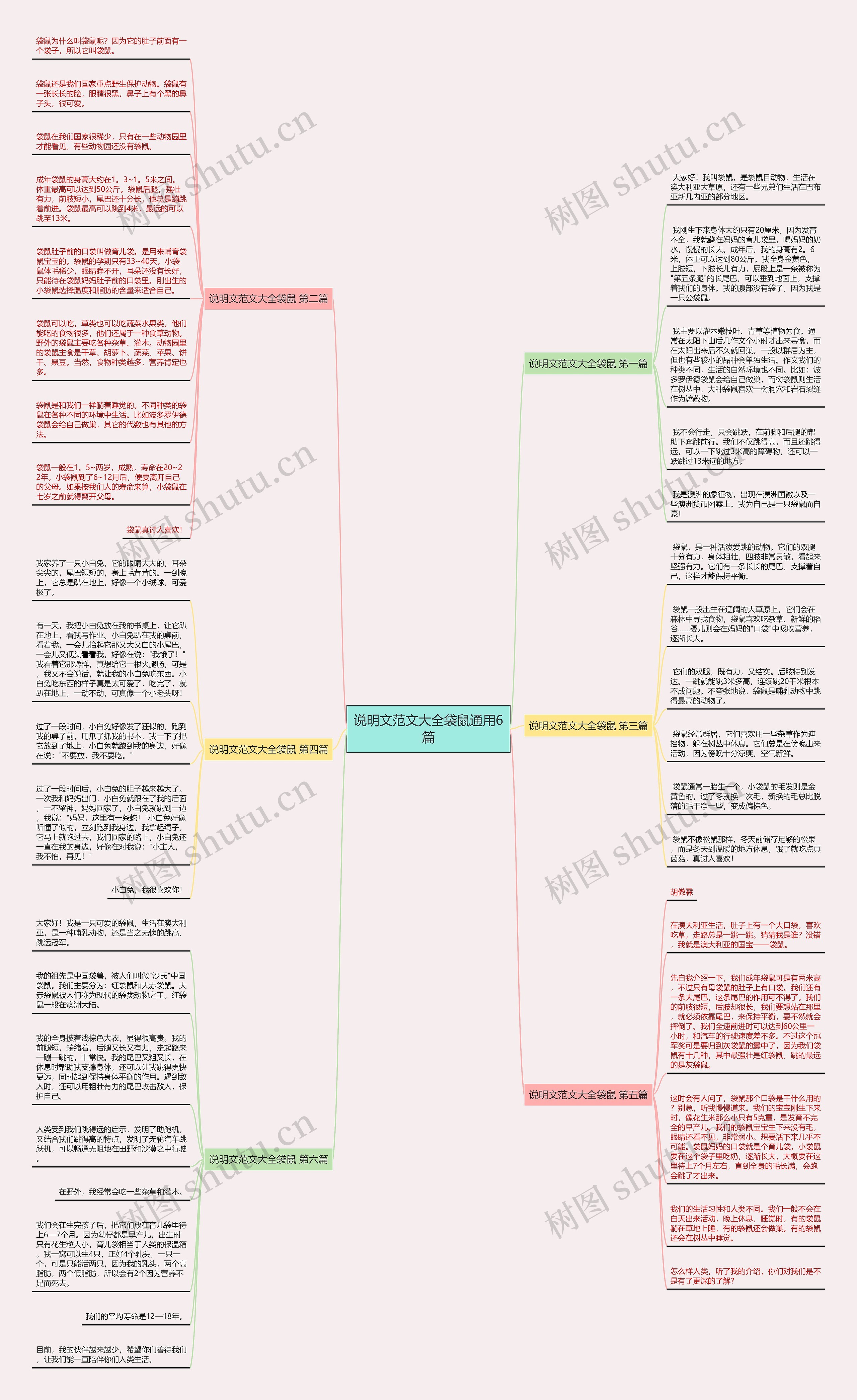 说明文范文大全袋鼠通用6篇 说明文范文大全袋鼠通用6篇