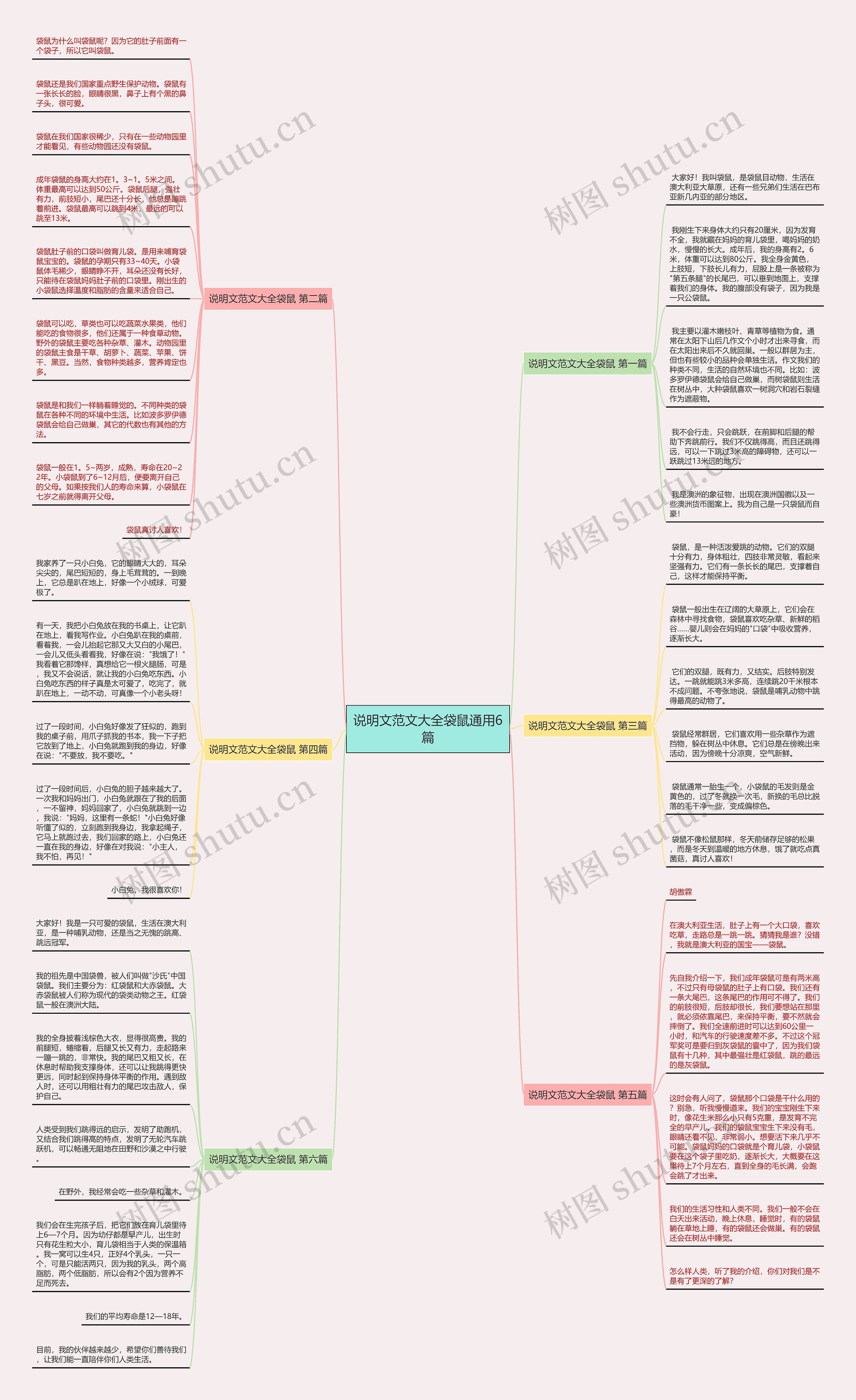 说明文范文大全袋鼠通用6篇思维导图
