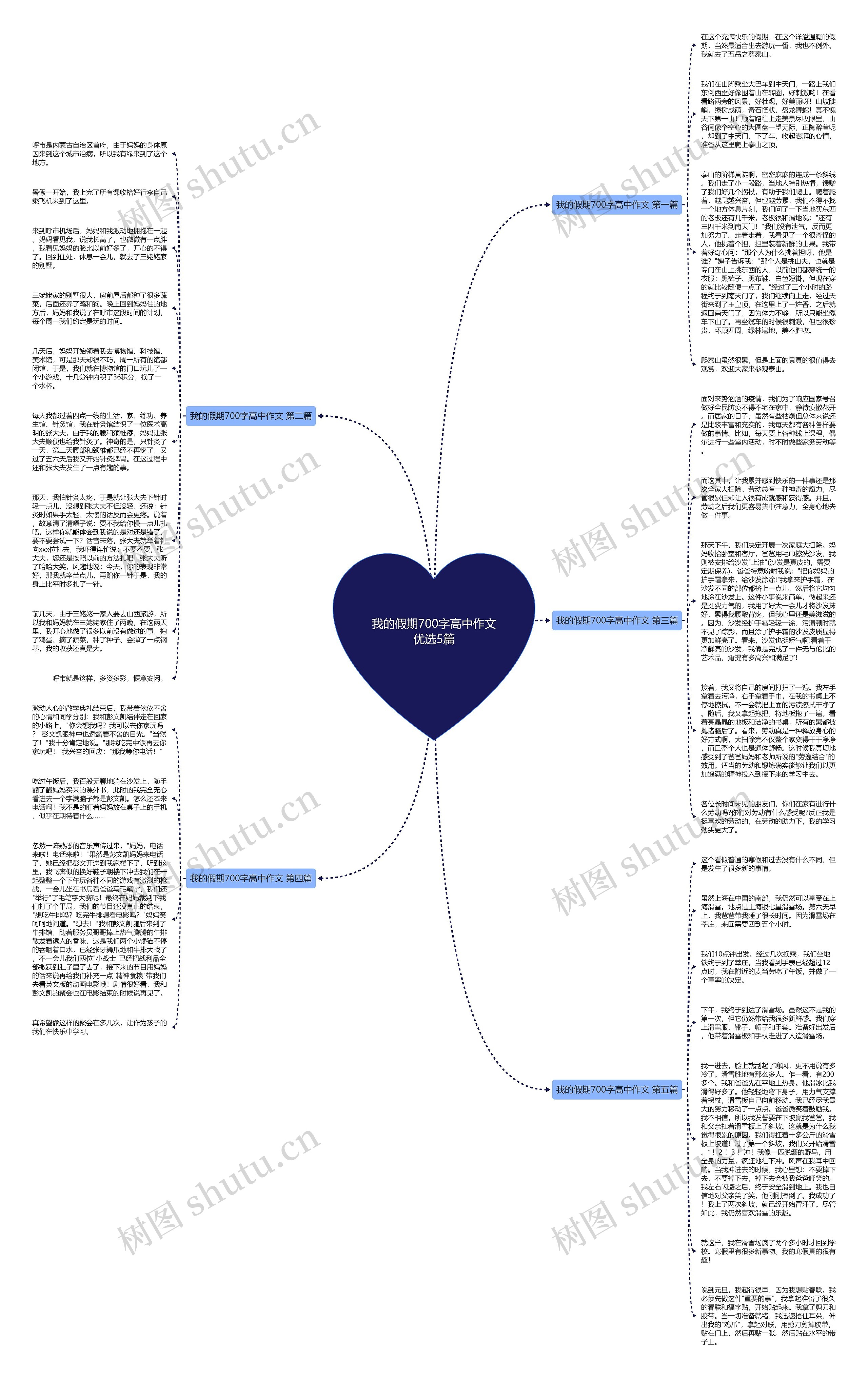 我的假期700字高中作文优选5篇思维导图