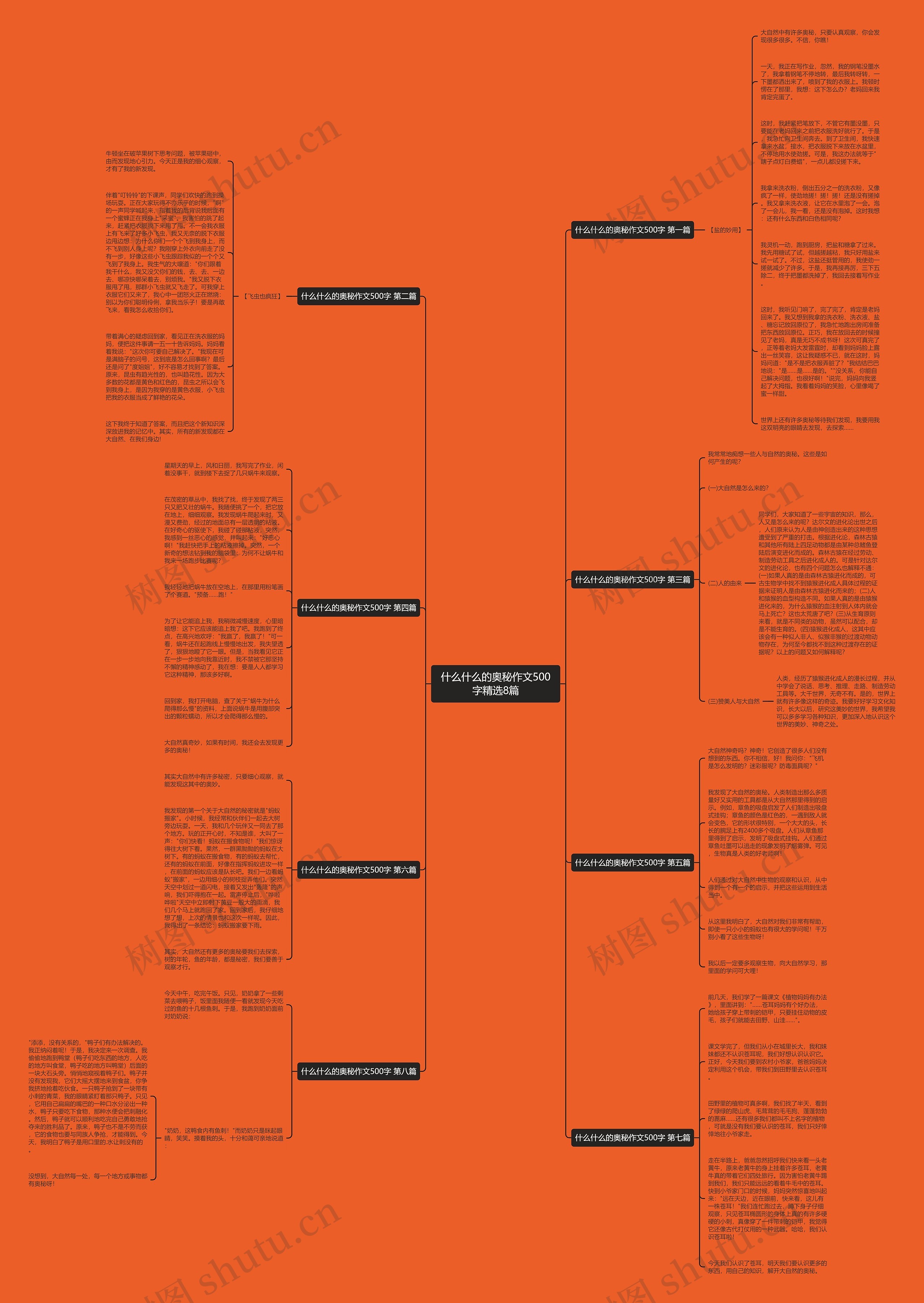 什么什么的奥秘作文500字精选8篇思维导图