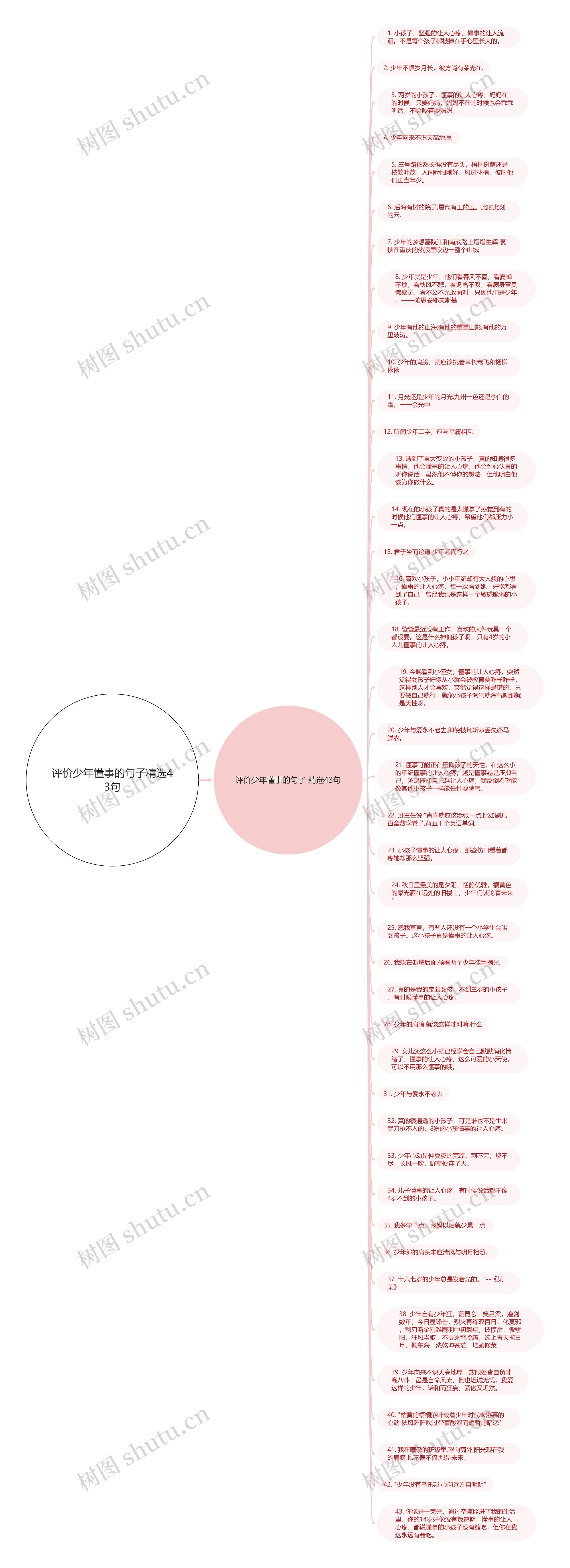 评价少年懂事的句子精选43句思维导图