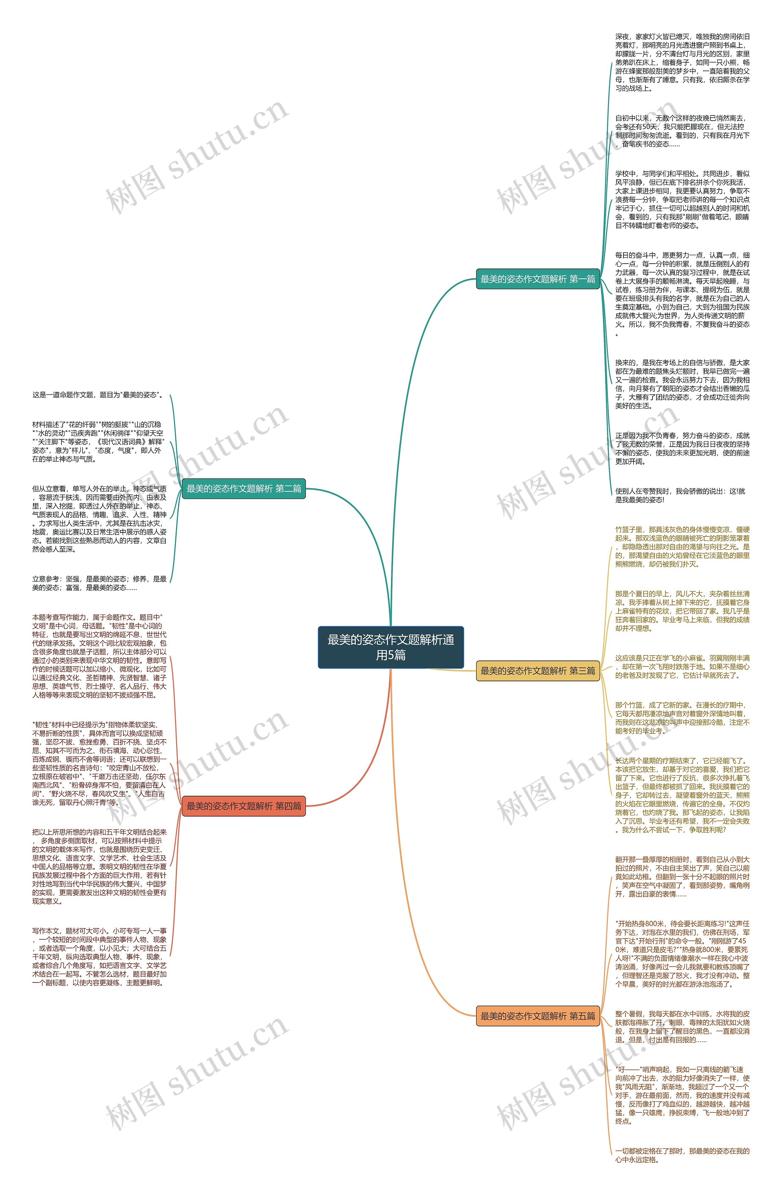 最美的姿态作文题解析通用5篇思维导图高清图 最美的姿态作文题解析通用5篇思维导图