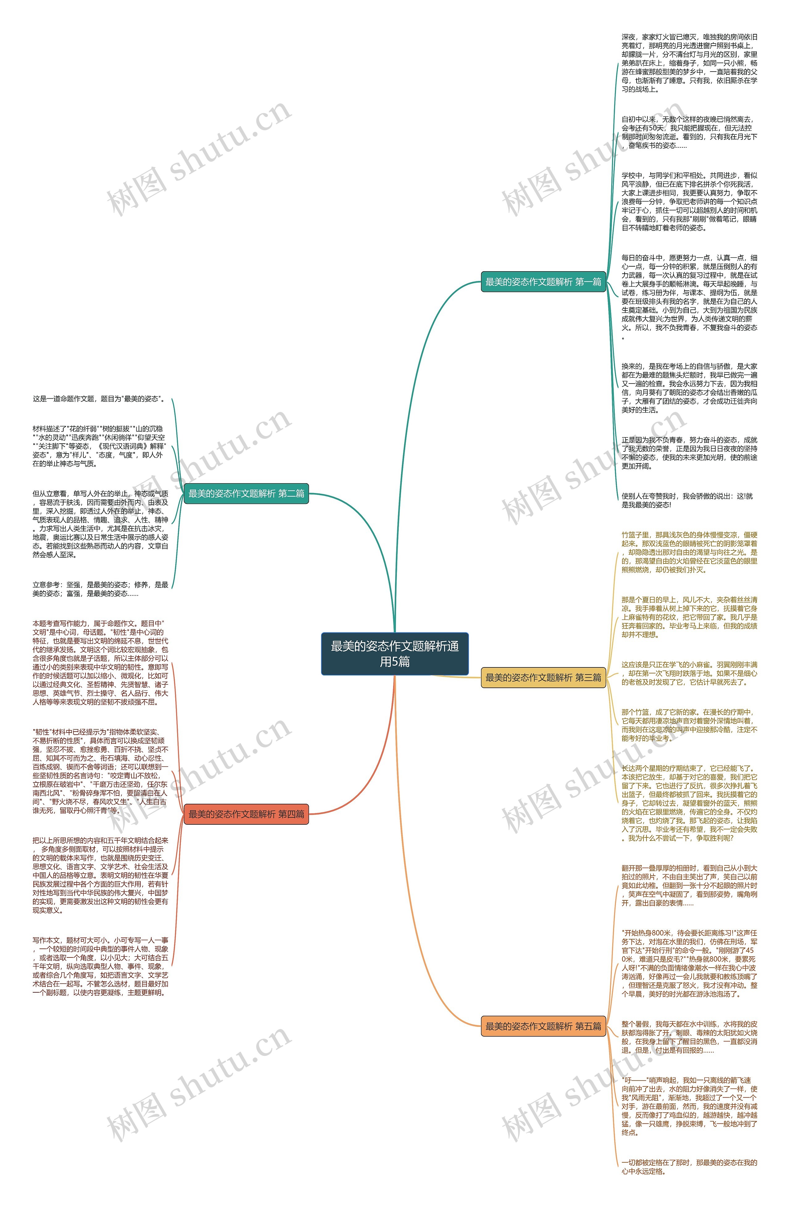 最美的姿态作文题解析通用5篇思维导图
