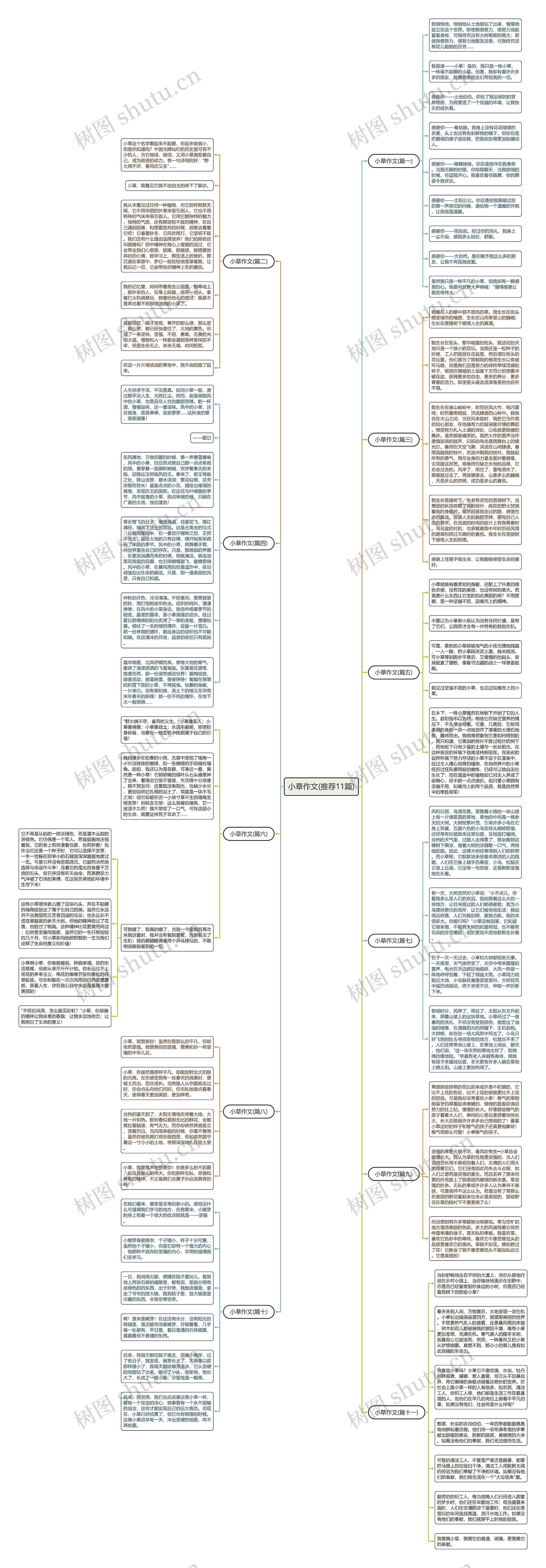小草作文(推荐11篇) 小草作文(推荐11篇)