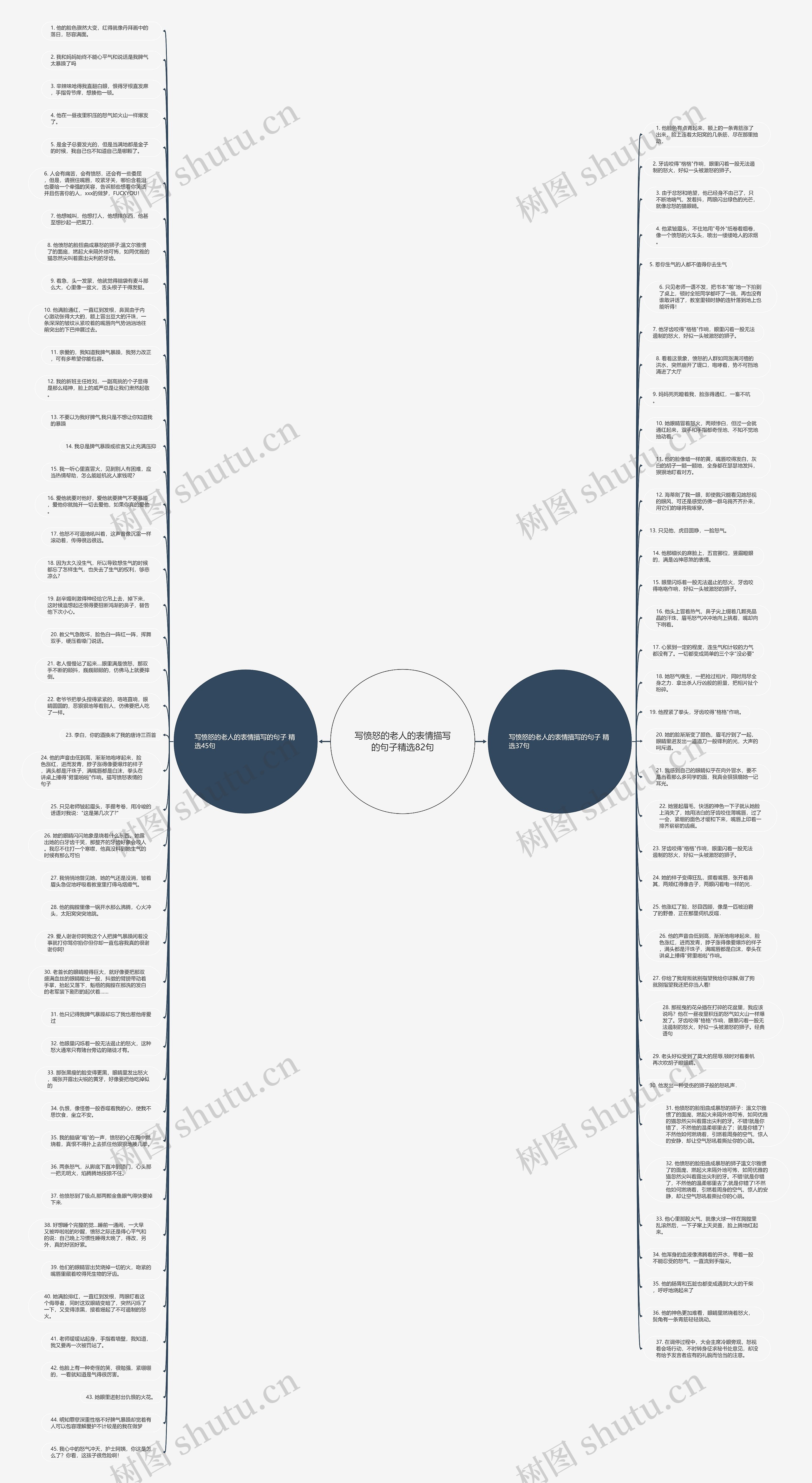 写愤怒的老人的表情描写的句子精选82句思维导图