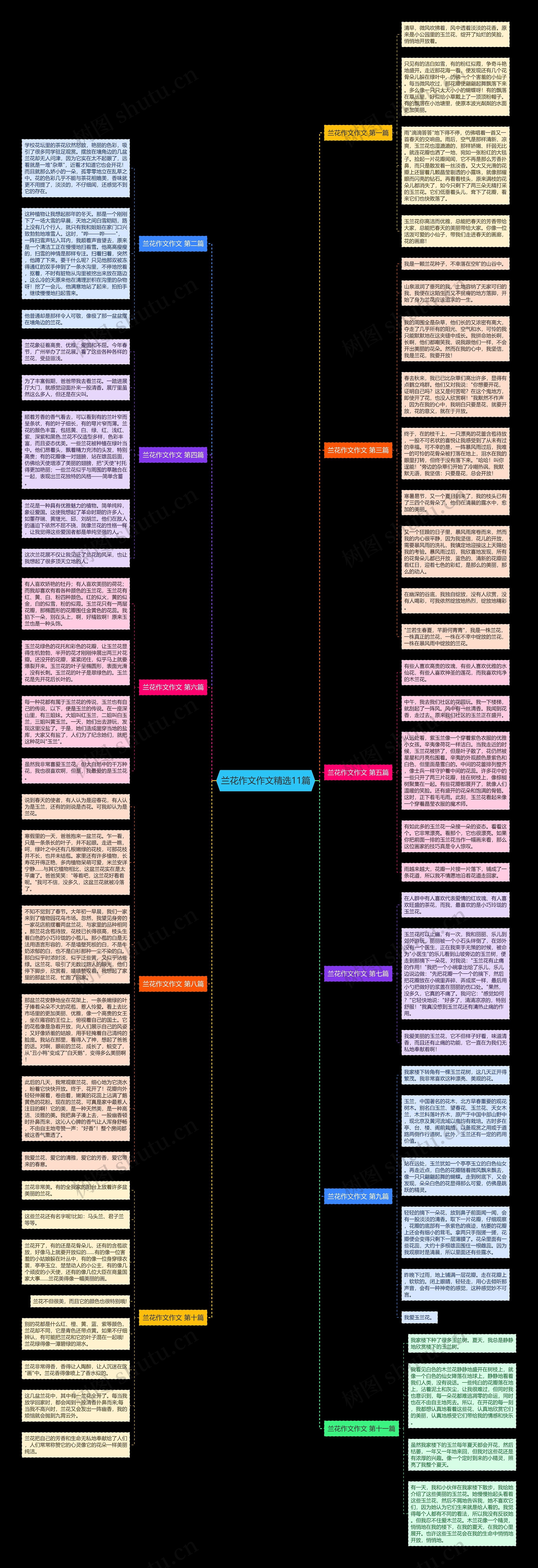 兰花作文作文精选11篇思维导图