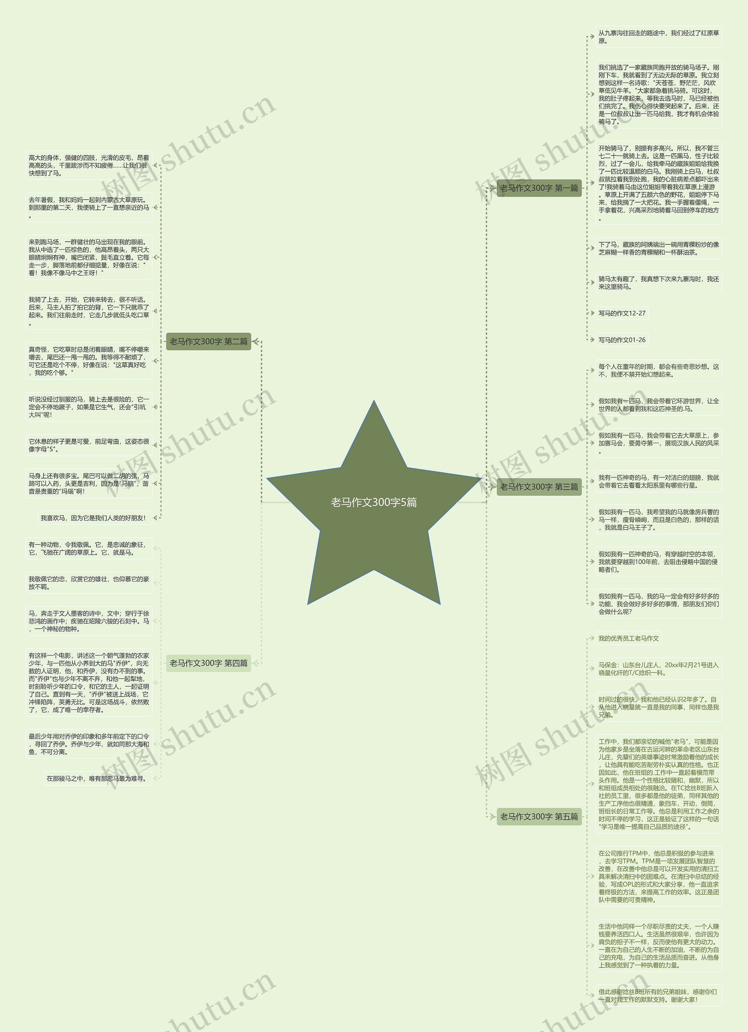 老马作文300字5篇思维导图