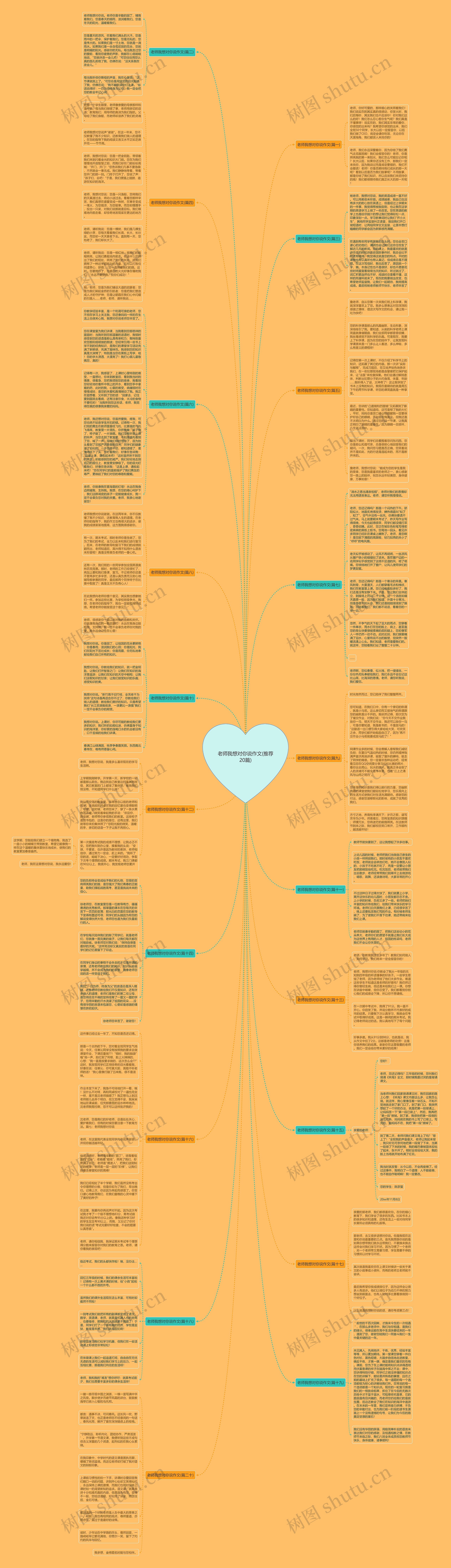 老师我想对你说作文(推荐20篇)思维导图