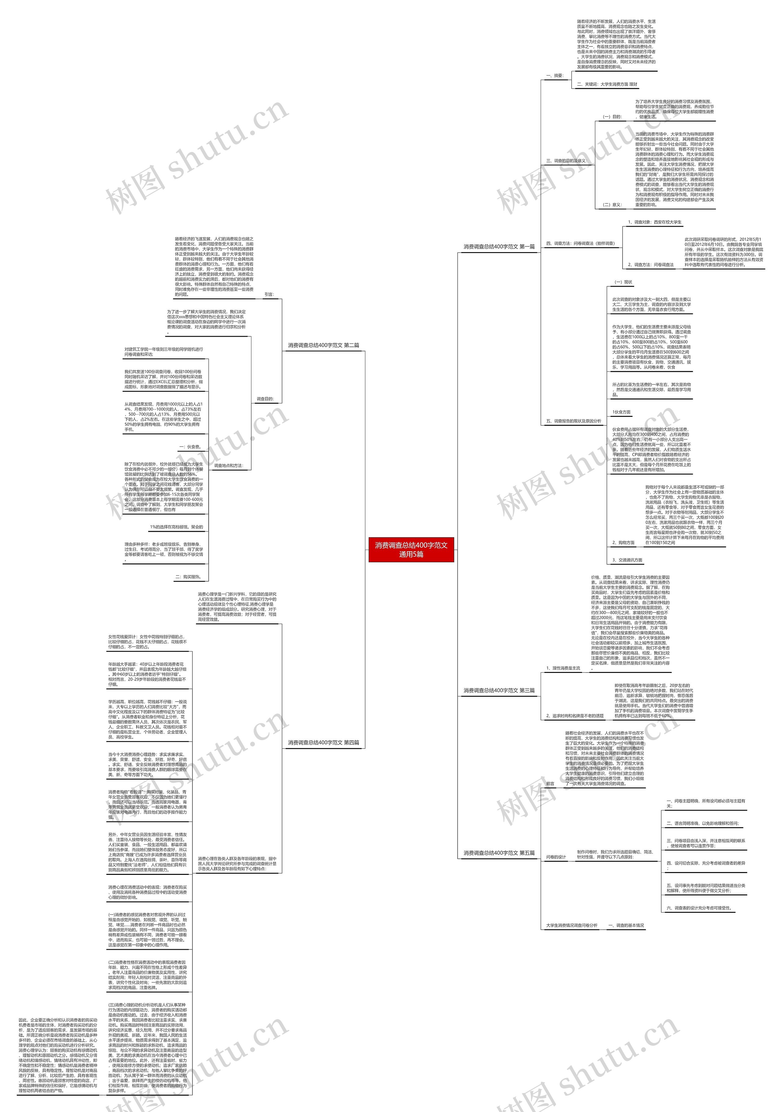 消费调查总结400字范文通用5篇思维导图