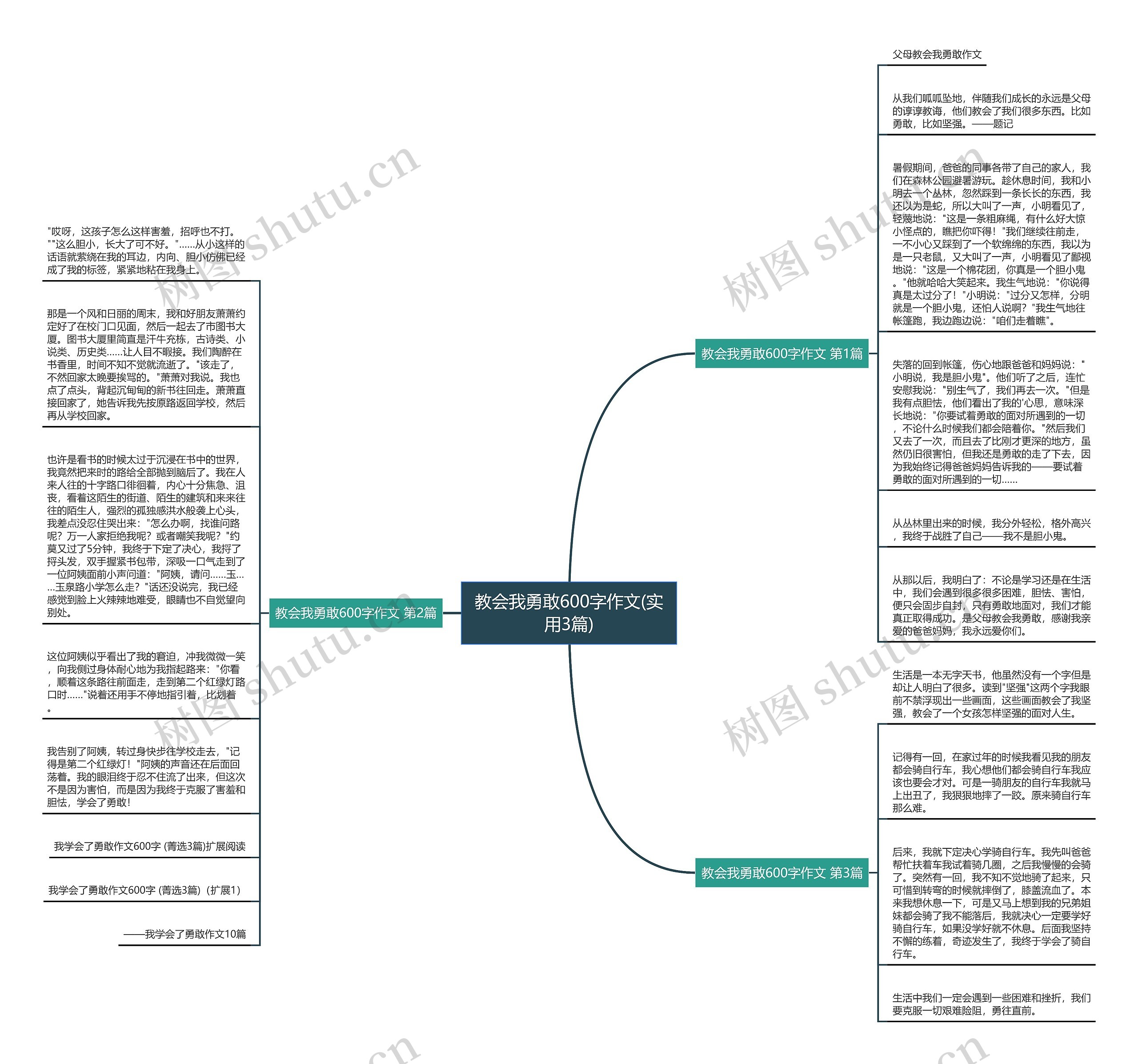 教会我勇敢600字作文(实用3篇)思维导图