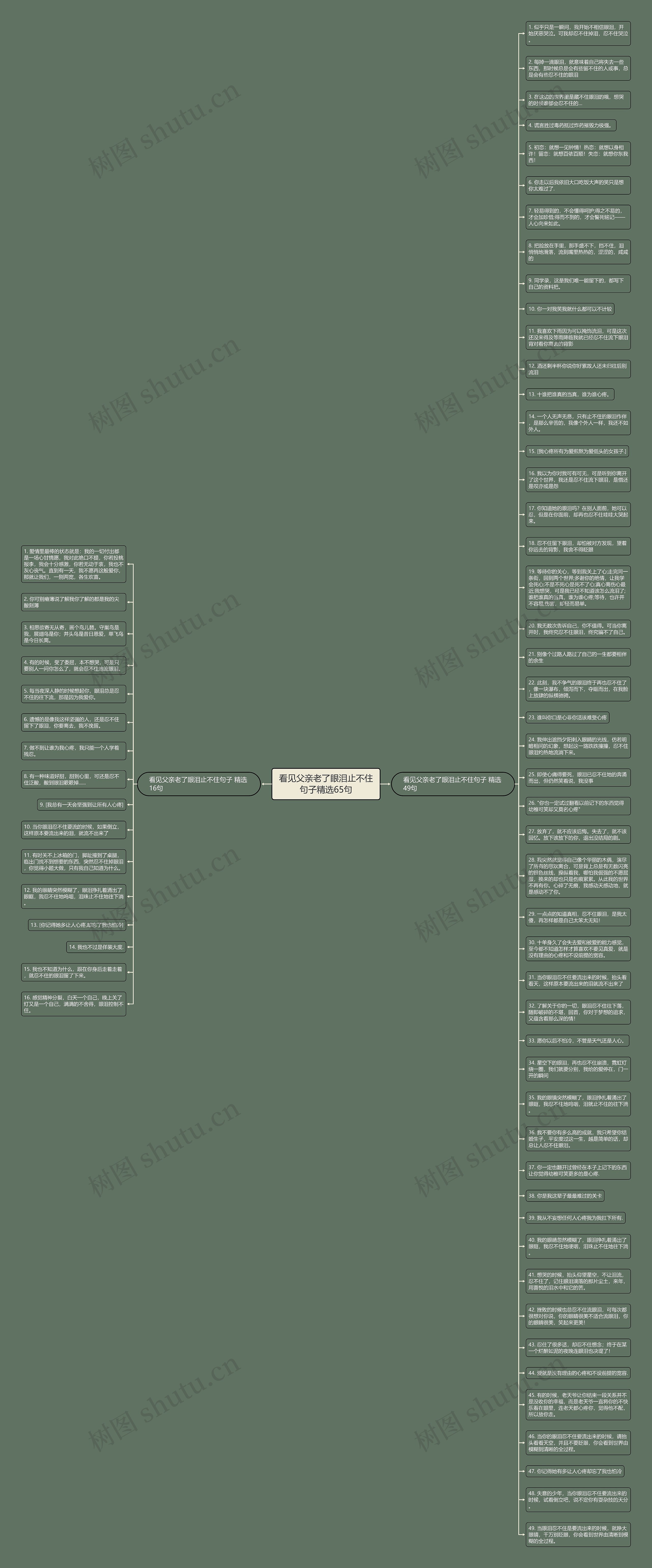 看见父亲老了眼泪止不住句子精选65句思维导图