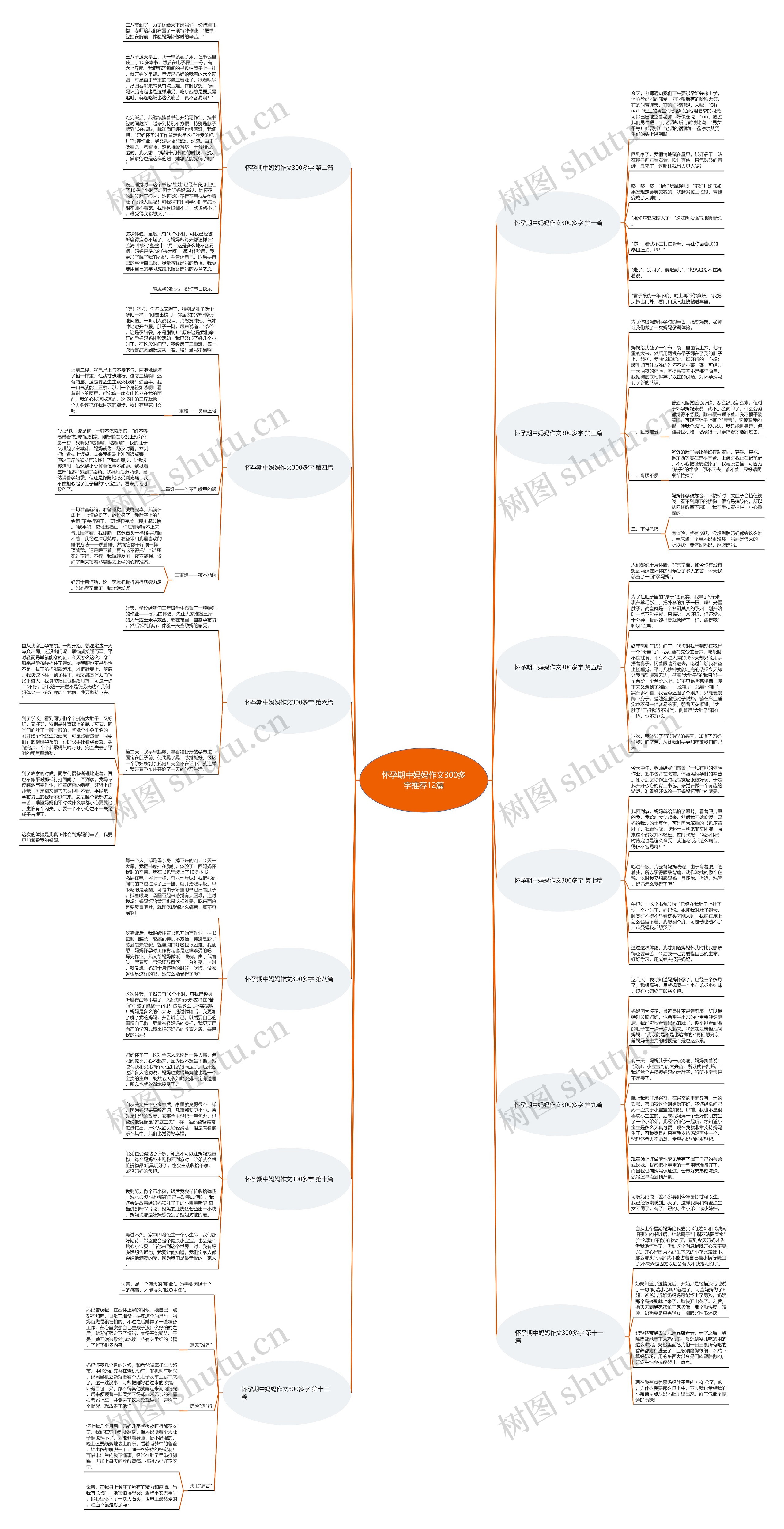 怀孕期中妈妈作文300多字推荐12篇思维导图