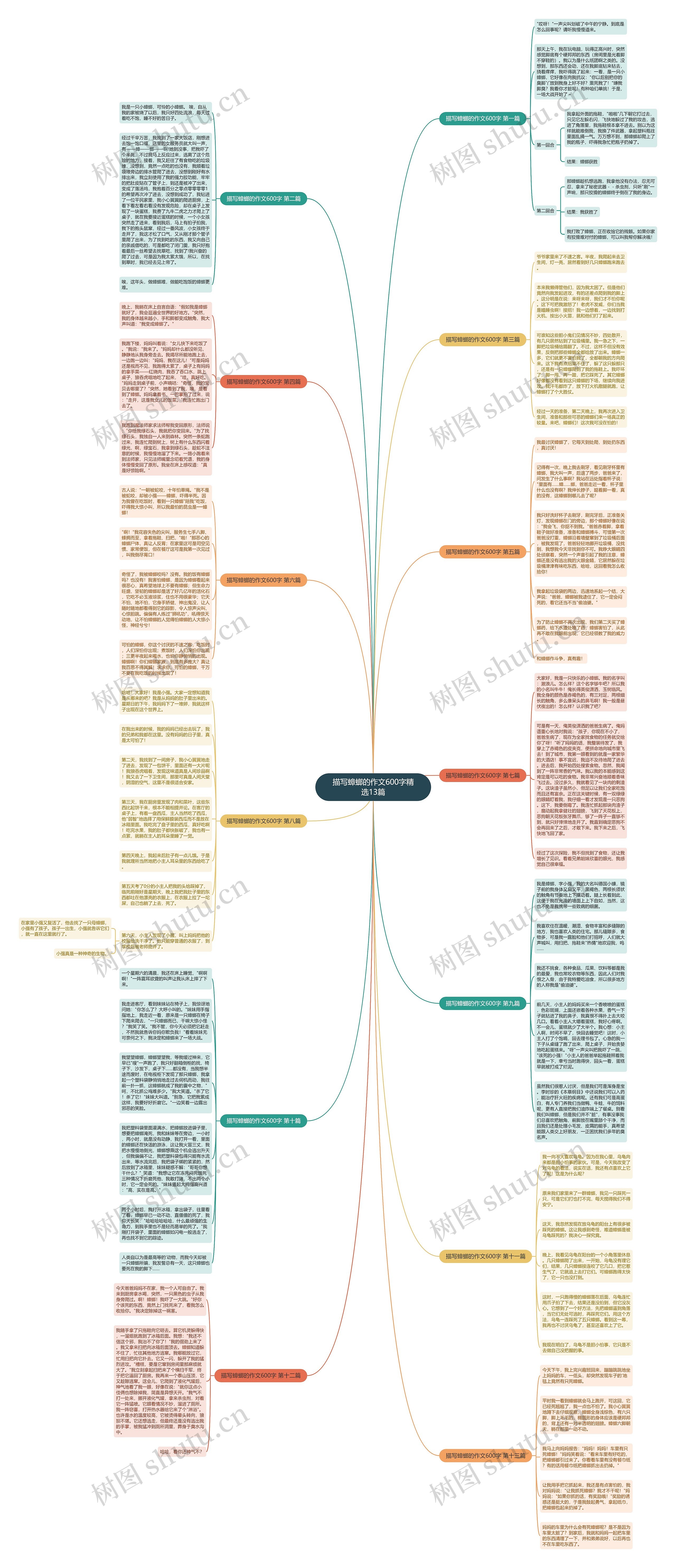 描写蟑螂的作文600字精选13篇思维导图