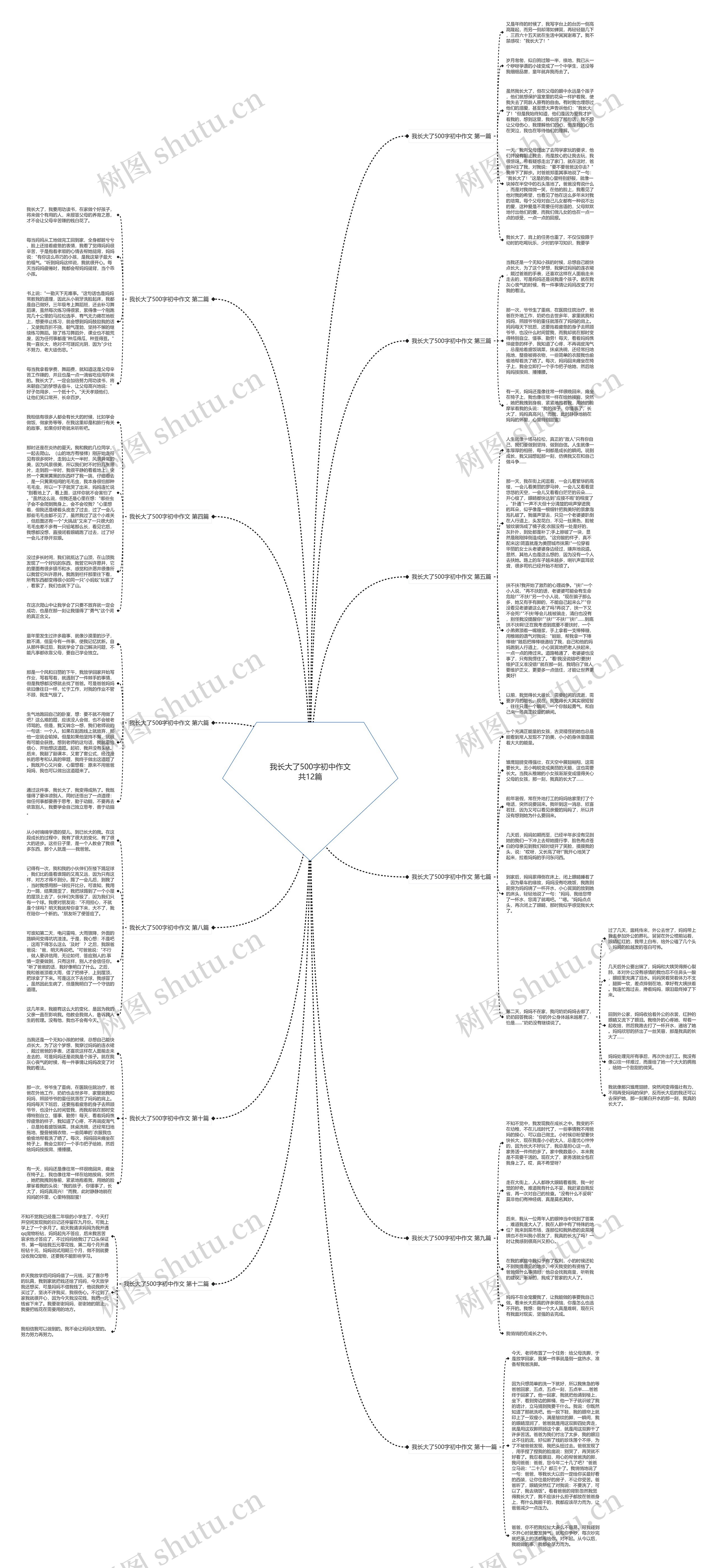 我长大了500字初中作文共12篇思维导图