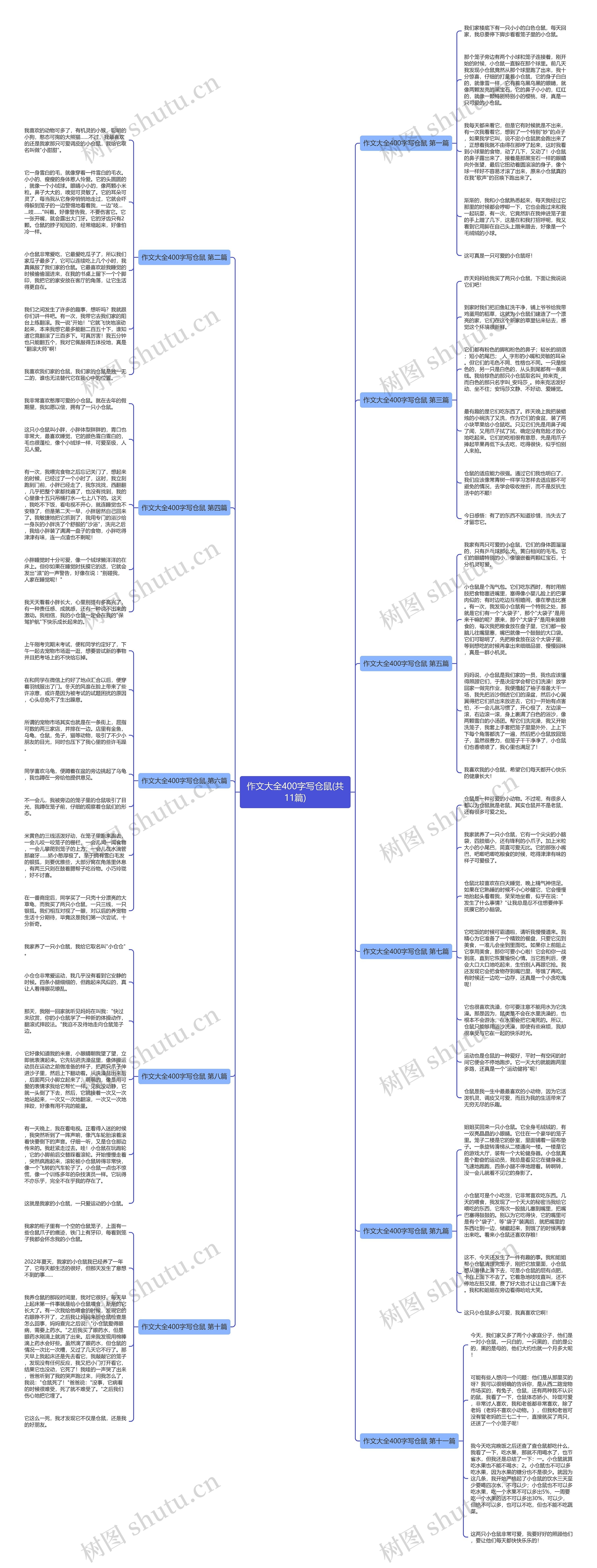 作文大全400字写仓鼠(共11篇)思维导图